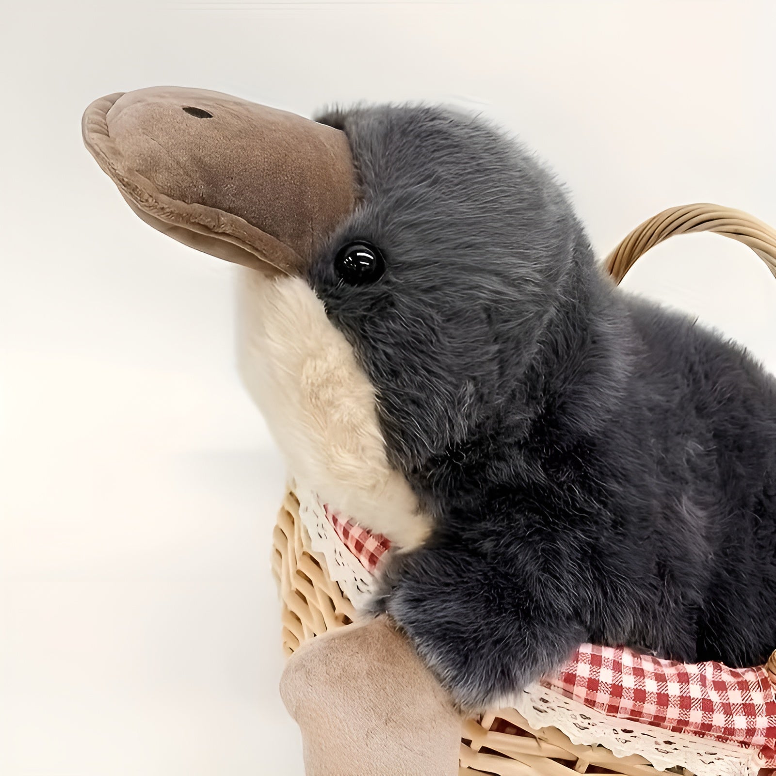 Kuscheliges Schnabeltier Plüschtier – Flauschig & Bequem | Plüschkissen für Zuhause - 100cm/39.37in - Kissen