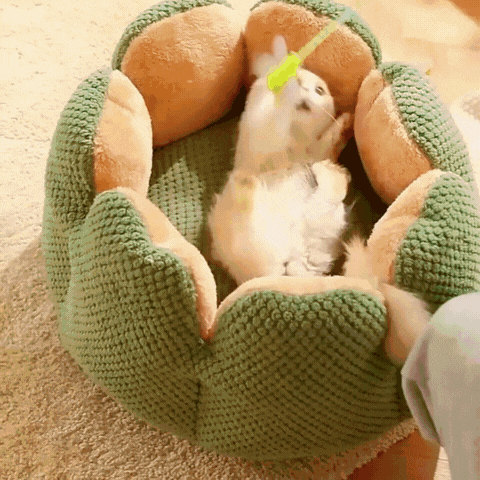 Cactus Thron Pet Bed - Stimuliert den Schlafkomfort - Elegare - DEA124 -