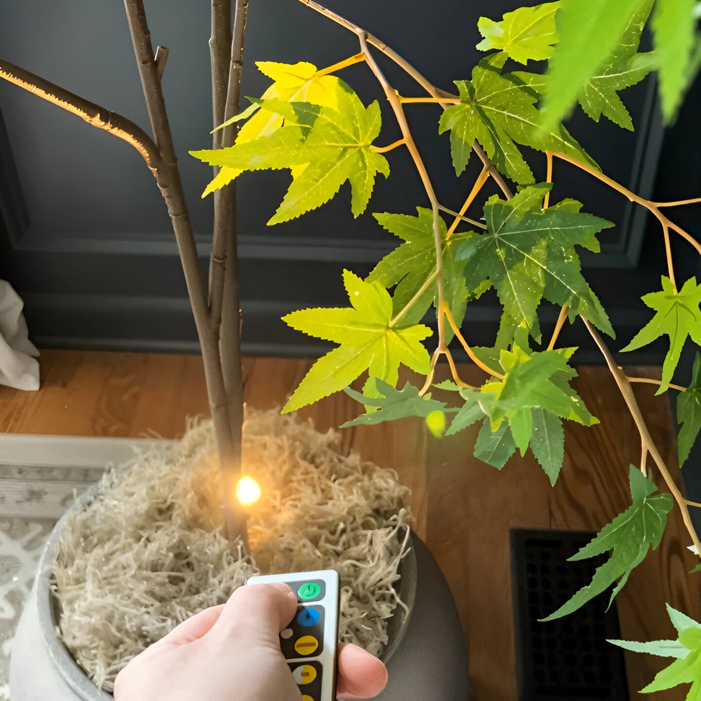 Mini LED-Spotlicht – Dimmbar und Kabellos | Perfekte Akzentbeleuchtung für Zuhause & Büro