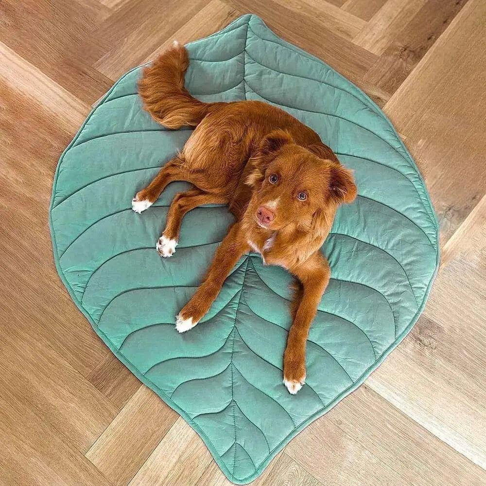 Leaf - Hundedecke in Blattform - Elegare - Dog Beds - Ulme-Grün