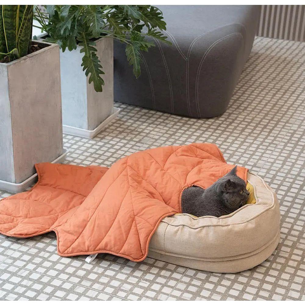 PupDreams Bett - Weiches & Atmungsaktives Orthopädisches Großes Hundeschlafbett Elegare