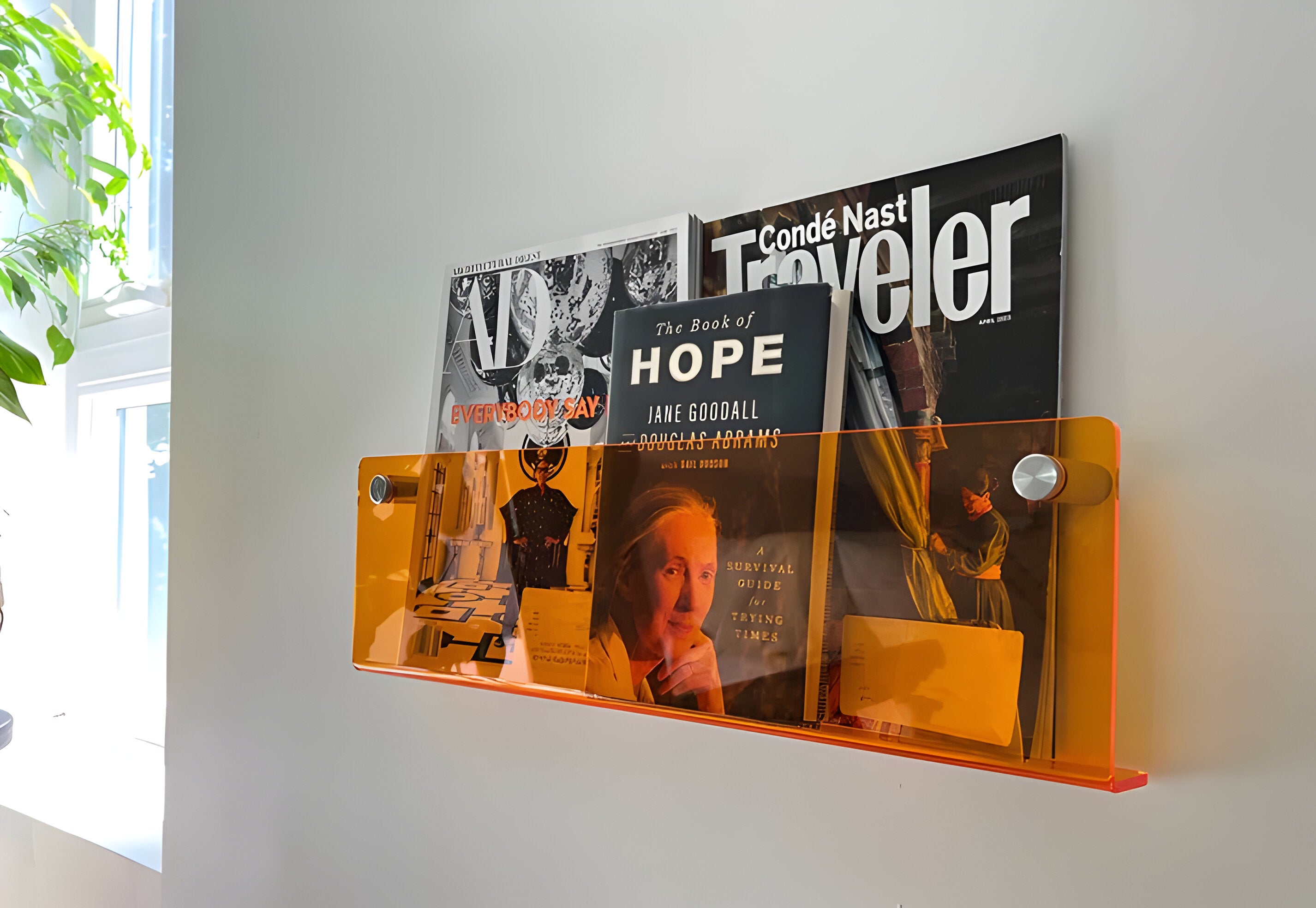 Wandregal aus Acryl –  Modernes und dekoratives Regal für Wohnzimmer & Büro