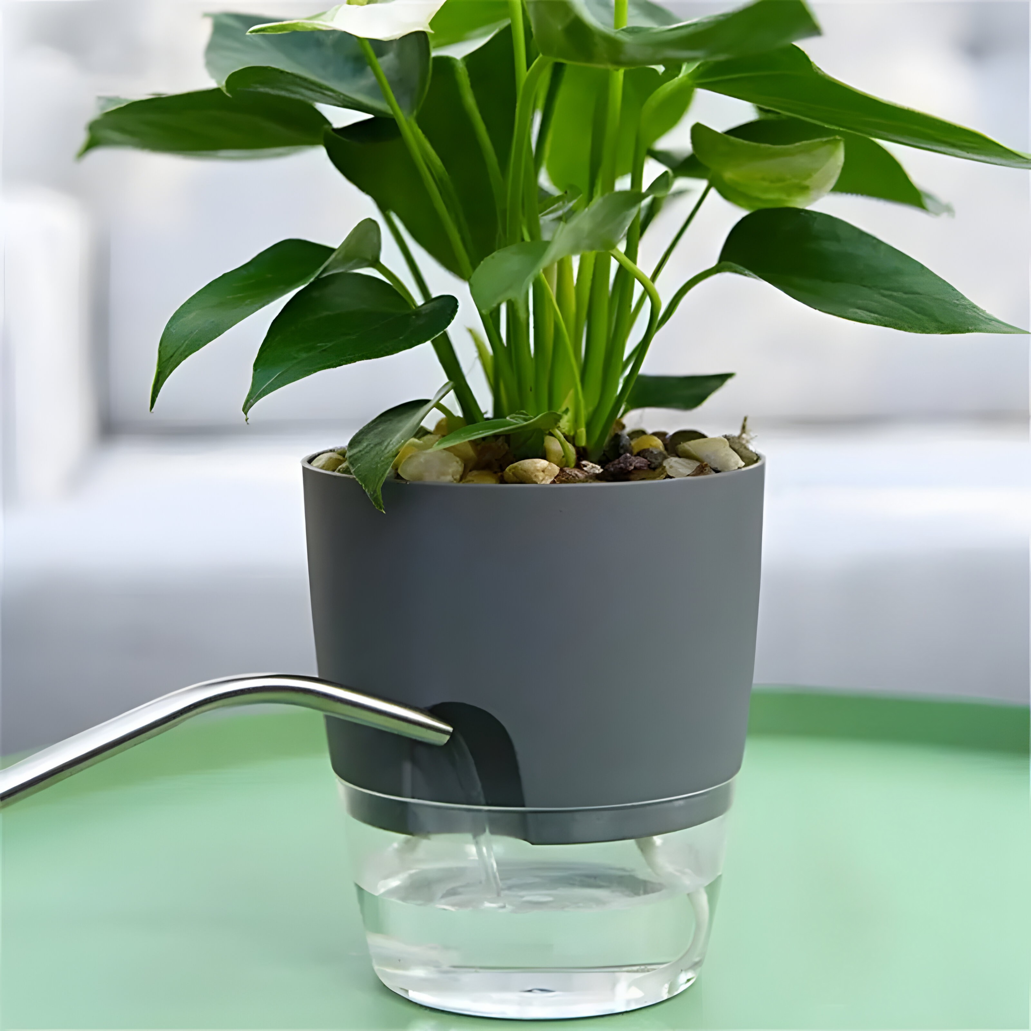 CrystalFlow Topf – Transparenter Selbstbewässernder Blumentopf