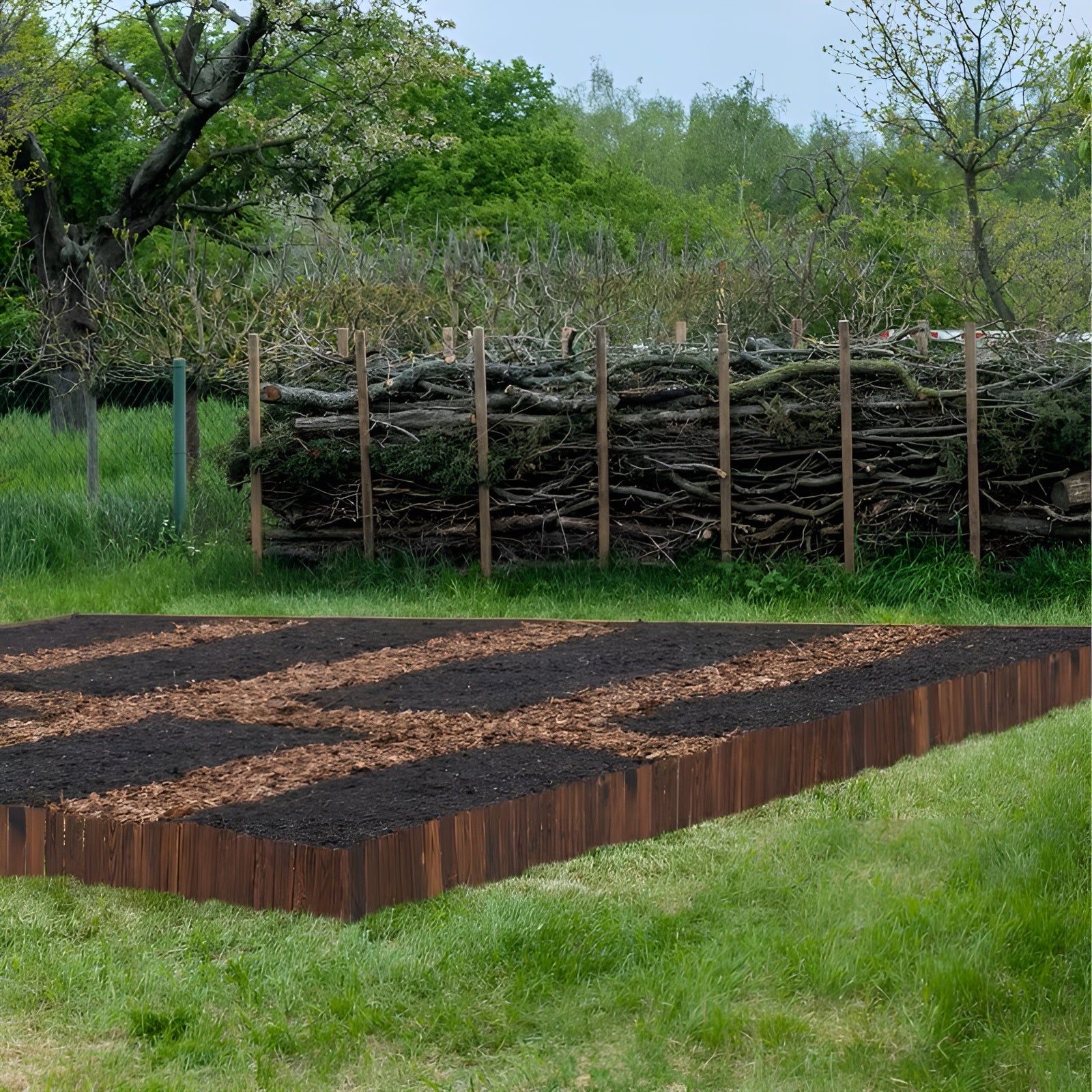 Karotten-Beeteinfassung – Dekorative Gartenbegrenzung | Perfekt für Gemüsebeete und Gartenwege