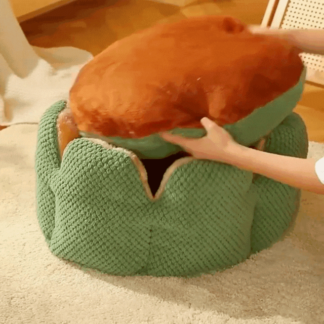 Cactus Thron Pet Bed - Stimuliert den Schlafkomfort - Haustierbedarf