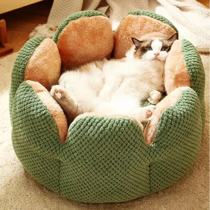 Cactus Thron Pet Bed - Stimuliert den Schlafkomfort - L 60*60cm / Grün - Haustierbedarf