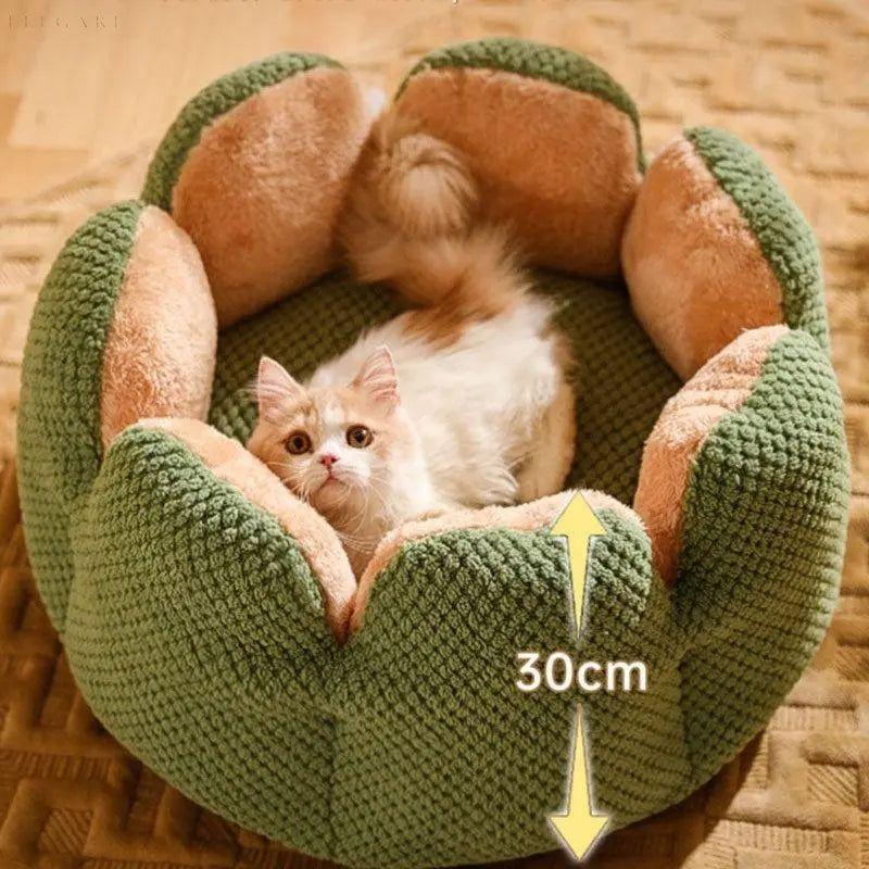 Cactus Thron Pet Bed - Stimuliert den Schlafkomfort - M 50*50cm / Grün - Haustierbedarf