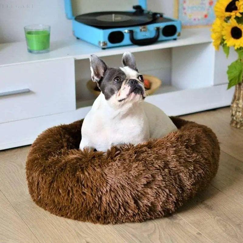 Calmzy – Flauschiges beruhigendes Bett für Haustiere - 40 CM / Kaffee - Haustierbedarf
