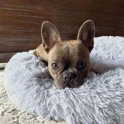 Calmzy – Flauschiges beruhigendes Bett für Haustiere - Haustierbedarf
