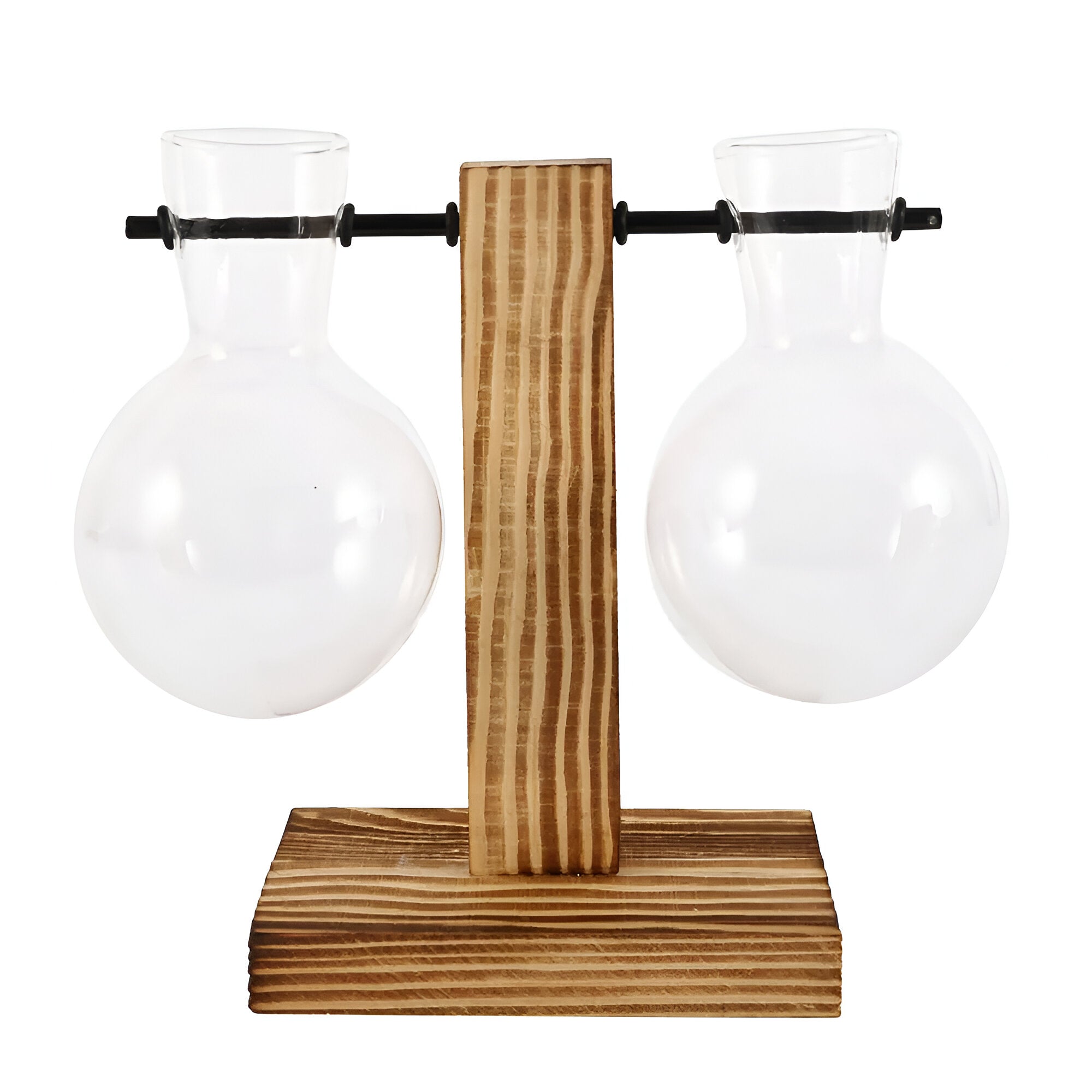 GlassHaven Vase – Hydroponisches Glasgefäß mit Holzständer