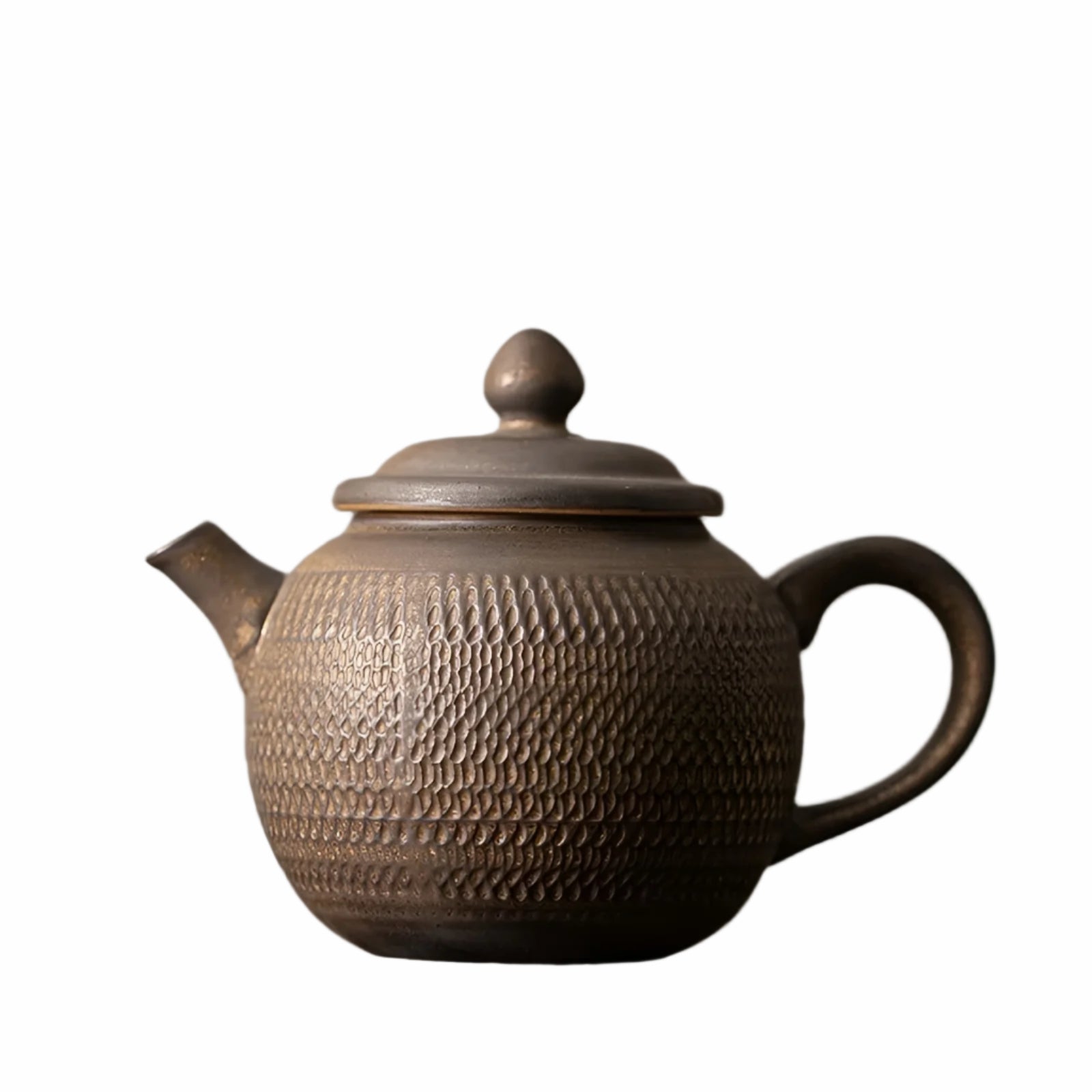 Teekanne aus Eisen mit Glasur – Japanisches Design & Handgefertigt | Perfekt für Gongfu-Teezeremonien