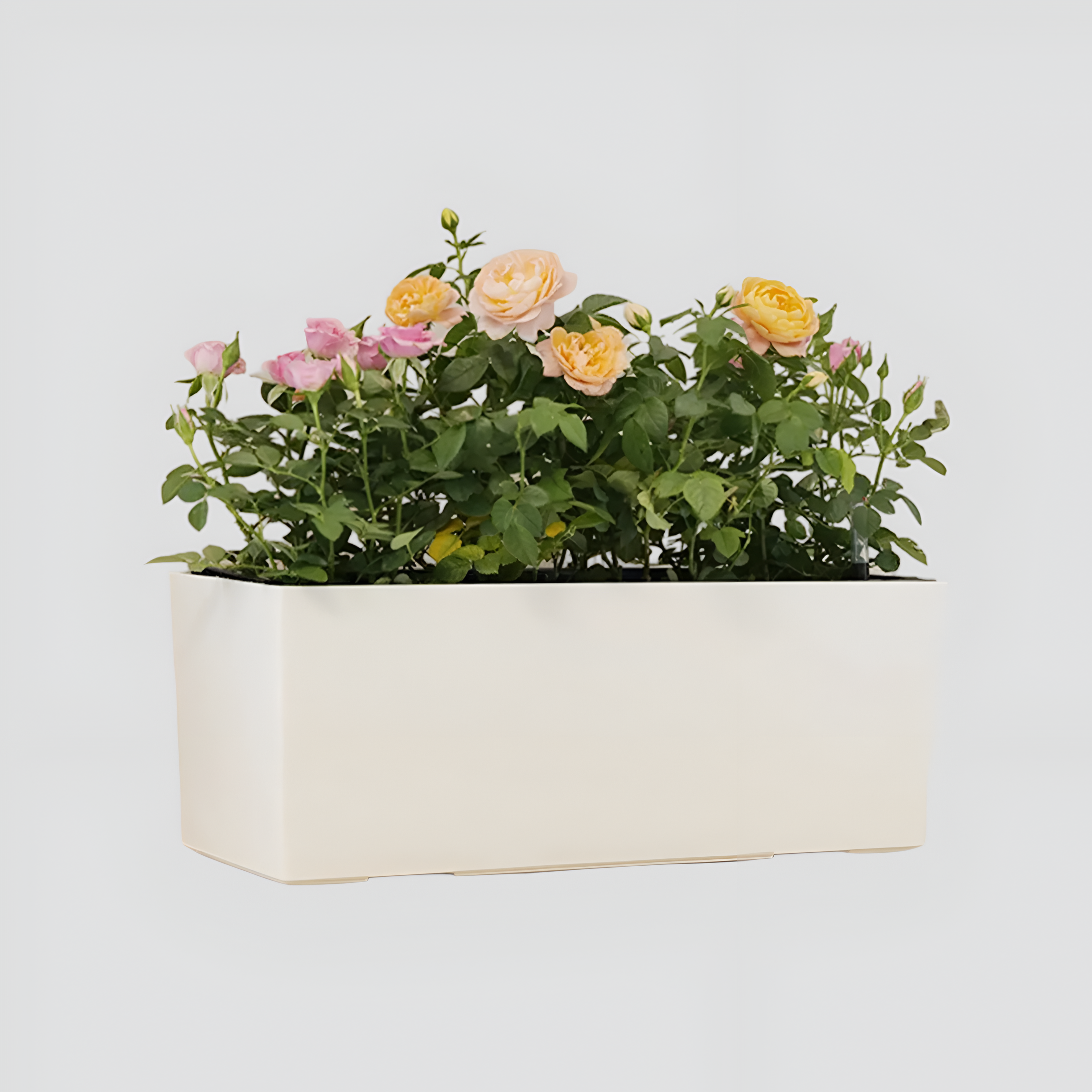 PureVase Pot – Selbstbewässernder Blumentopf mit Wasserstandsanzeige
