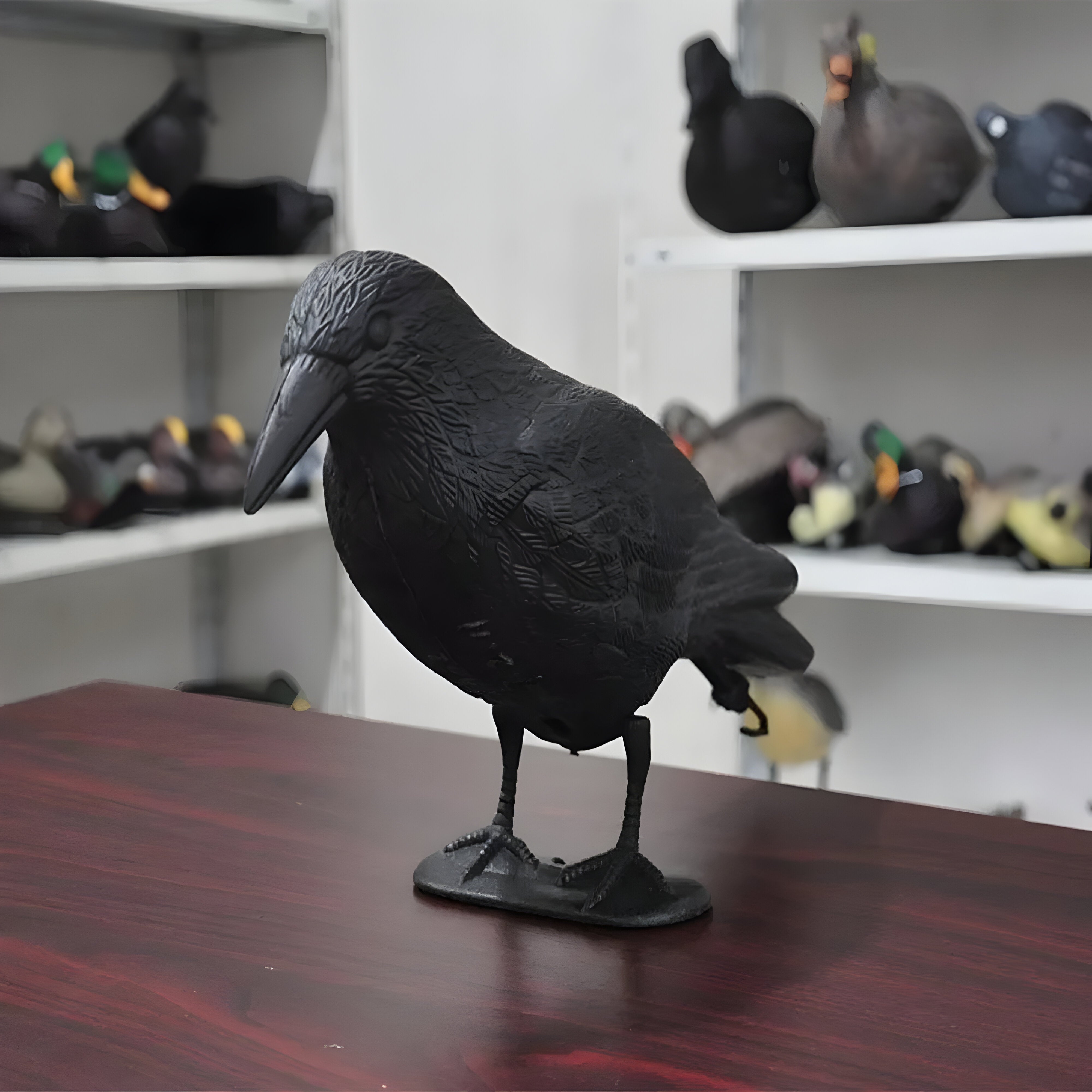 CrowHawk Decoration - Dekorative Schwarze Krähe Schädlingsabwehr