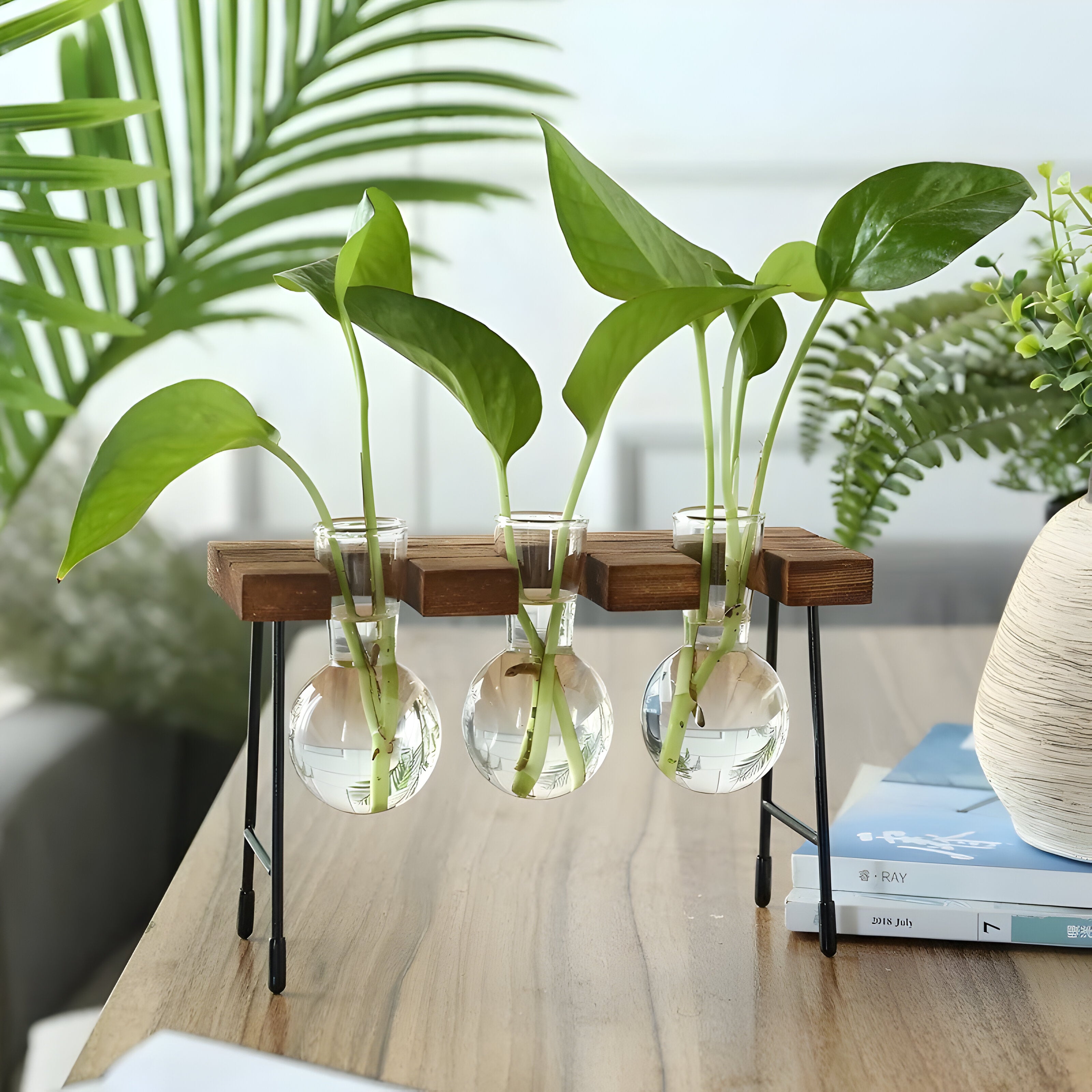 GlassRoot Vase - Hölzerner Rahmen Hydroponisches Pflanzgefäß mit Glaskugel