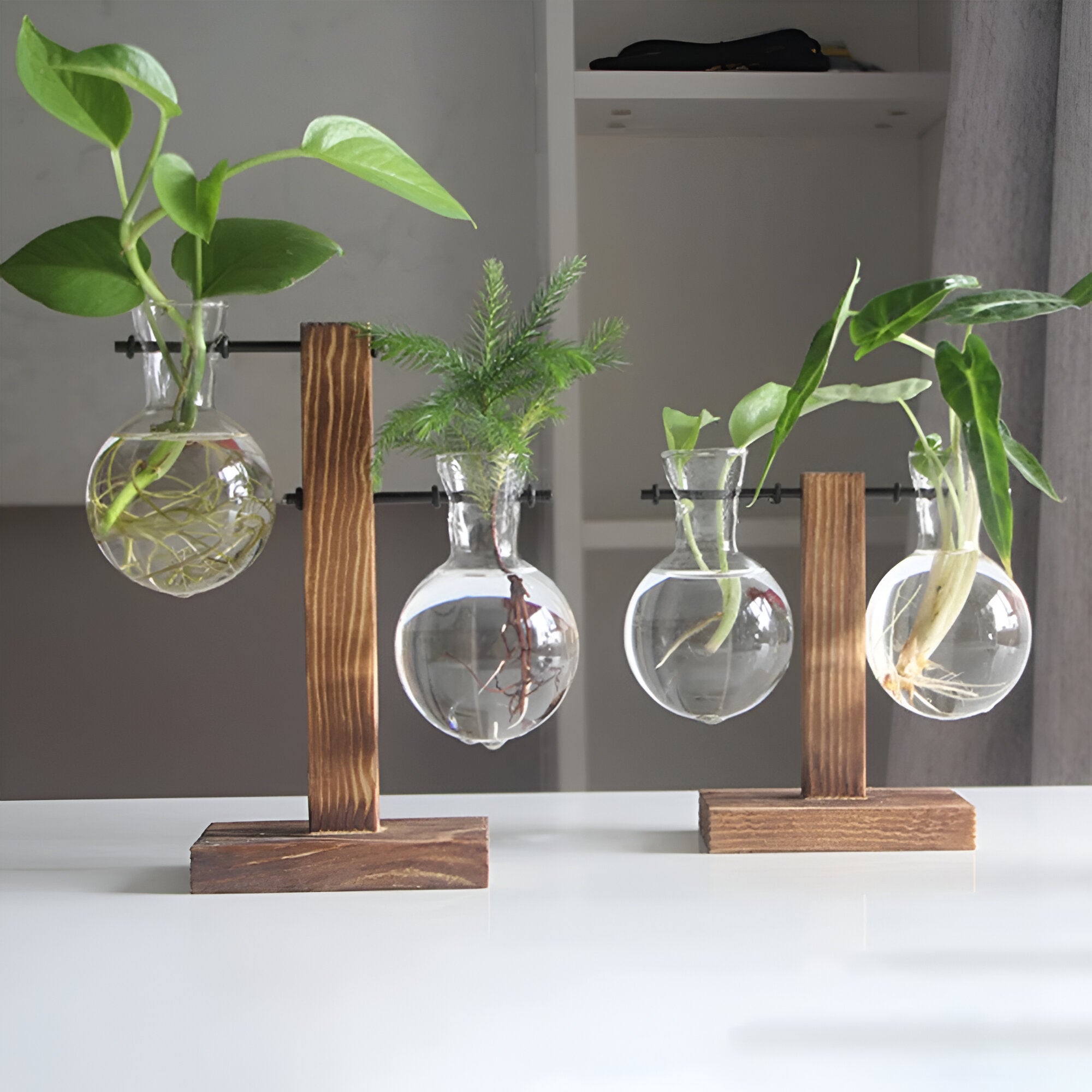 GlassHaven Vase – Hydroponisches Glasgefäß mit Holzständer