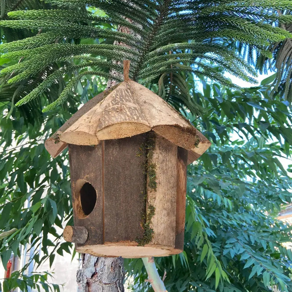 RusticWing Nest - Außenbereich Hängendes Holz Vogelnest