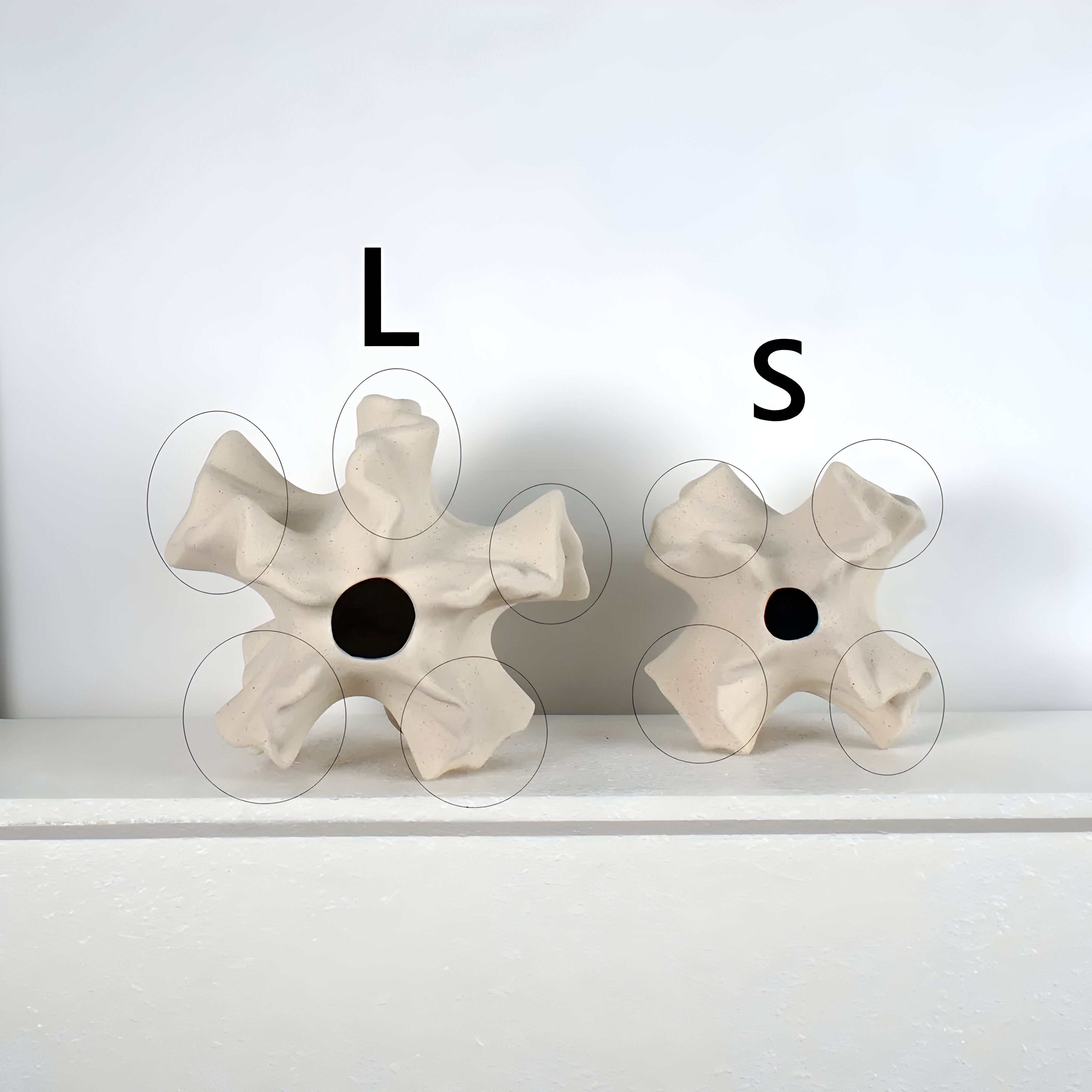 CeramiCoral Vase - Nordische Keramik Korallenblumenvase