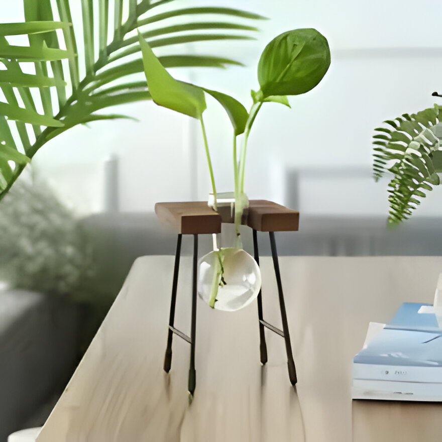 GlassRoot Vase - Hölzerner Rahmen Hydroponisches Pflanzgefäß mit Glaskugel