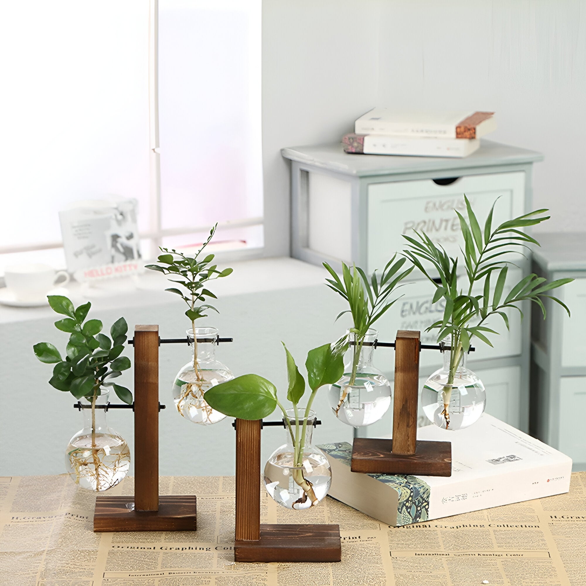 GlassHaven Vase – Hydroponisches Glasgefäß mit Holzständer