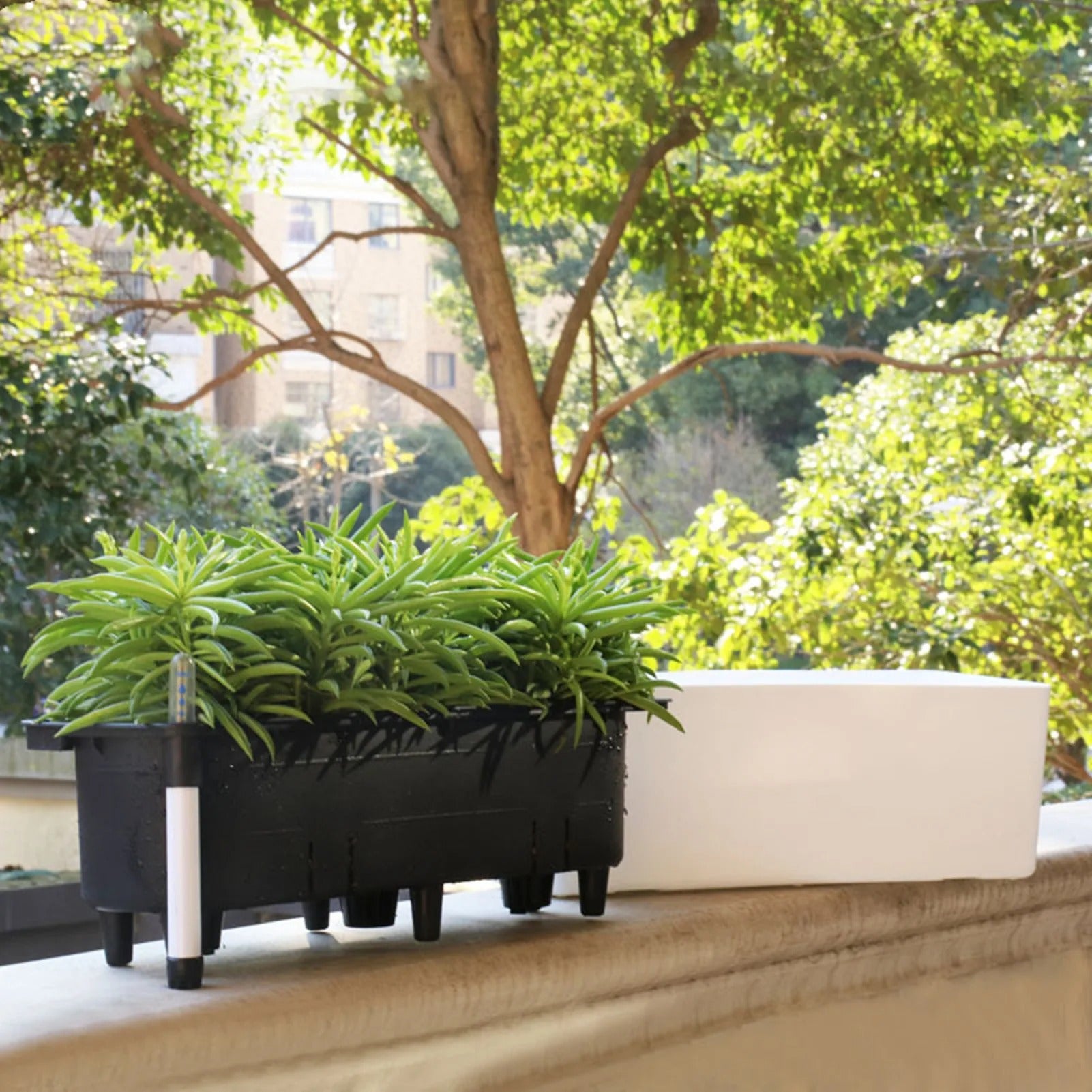 PureVase Pot – Selbstbewässernder Blumentopf mit Wasserstandsanzeige
