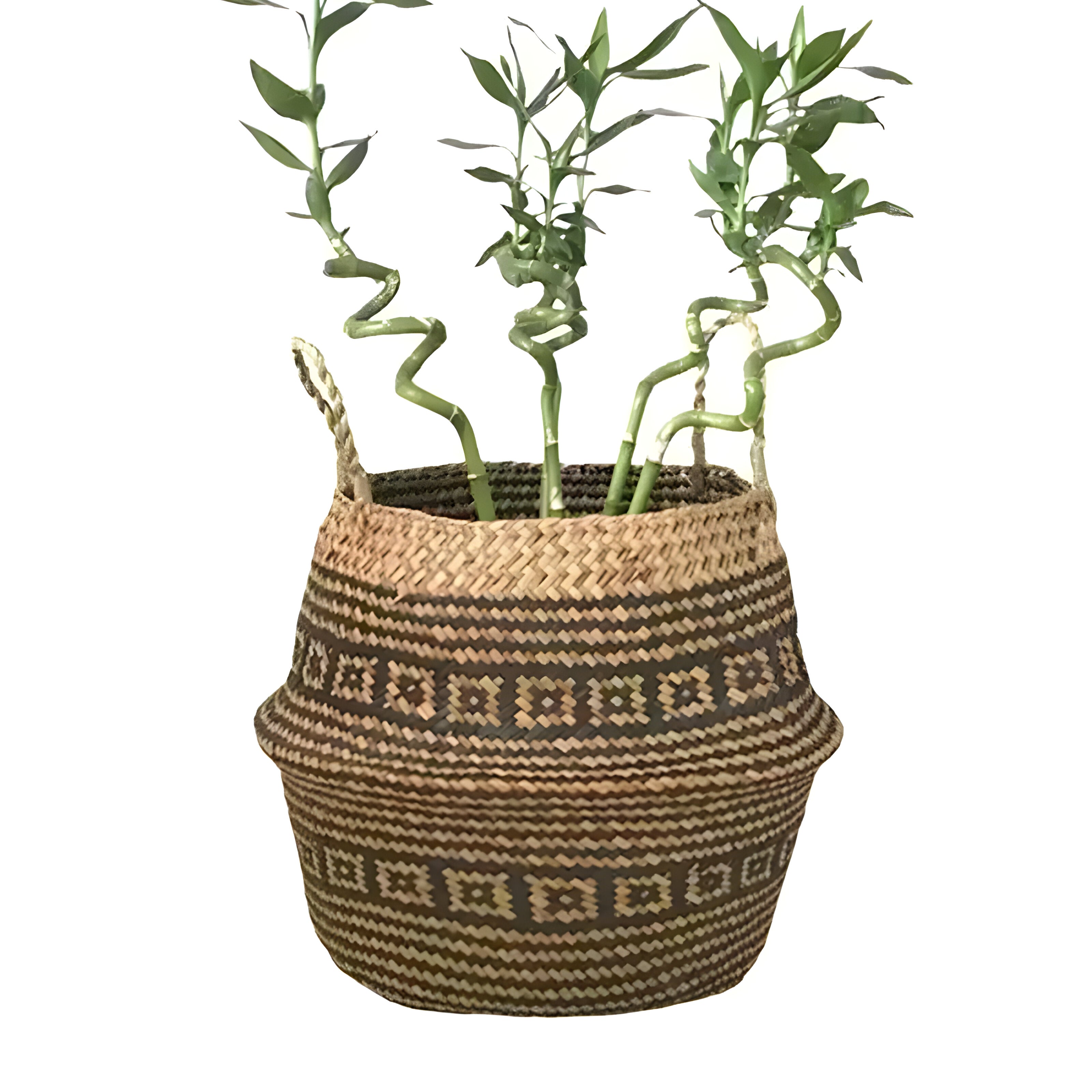 EcoHaven Korb - Faltbarer Handgefertigter Rattan Gewebter Blumenkorb