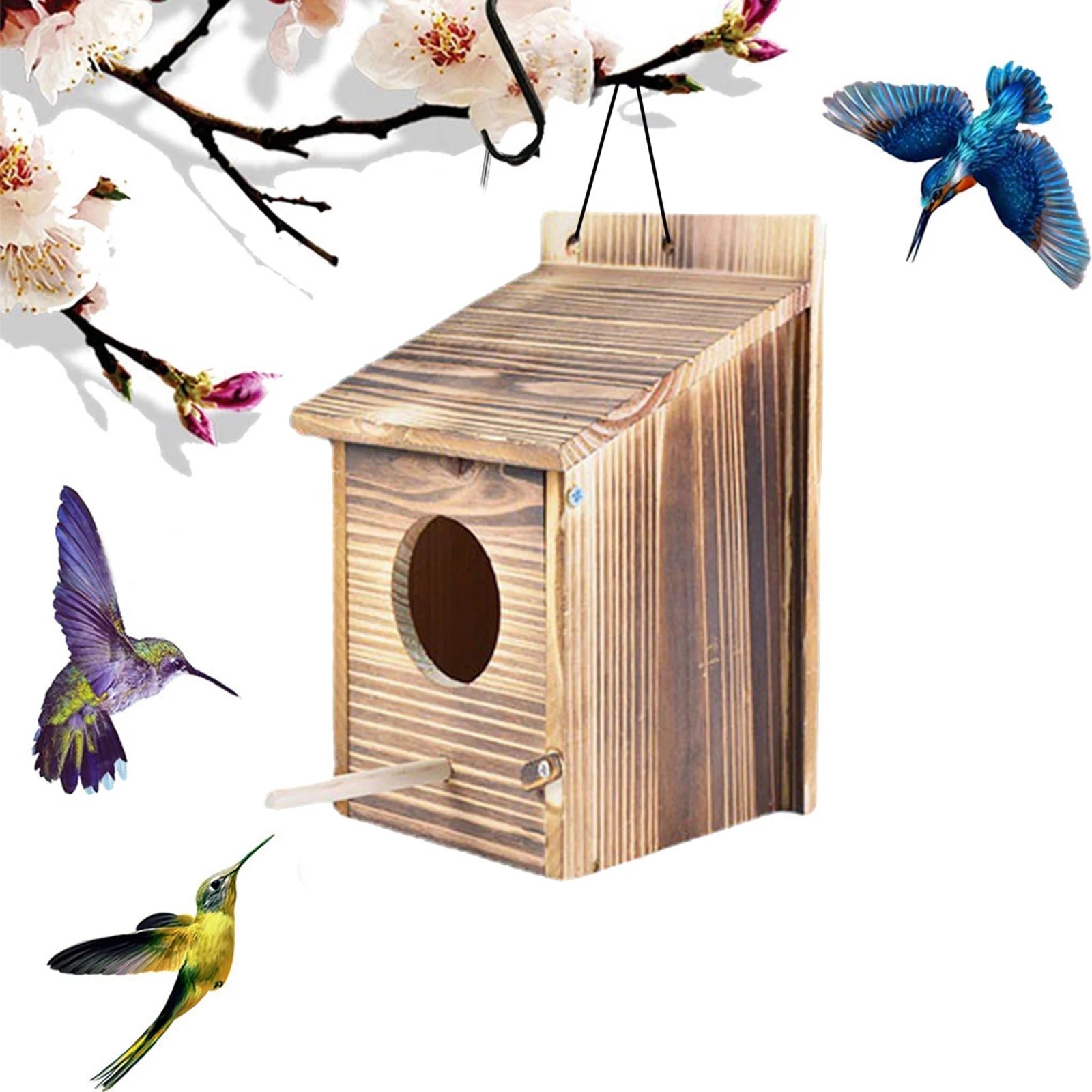 WoodHollow Nest - Wetterfestes Holz hängendes Vogelnest