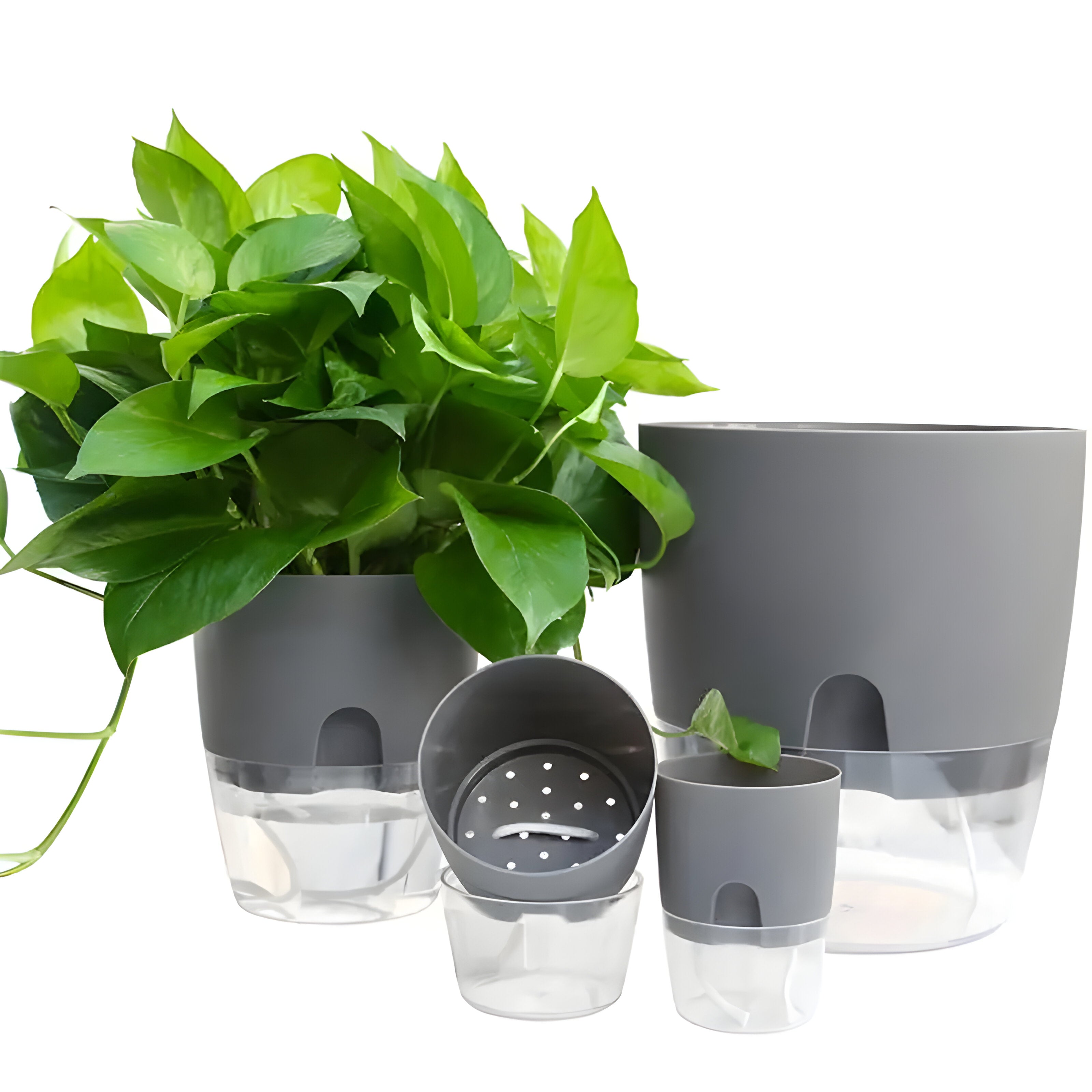 CrystalFlow Topf – Transparenter Selbstbewässernder Blumentopf