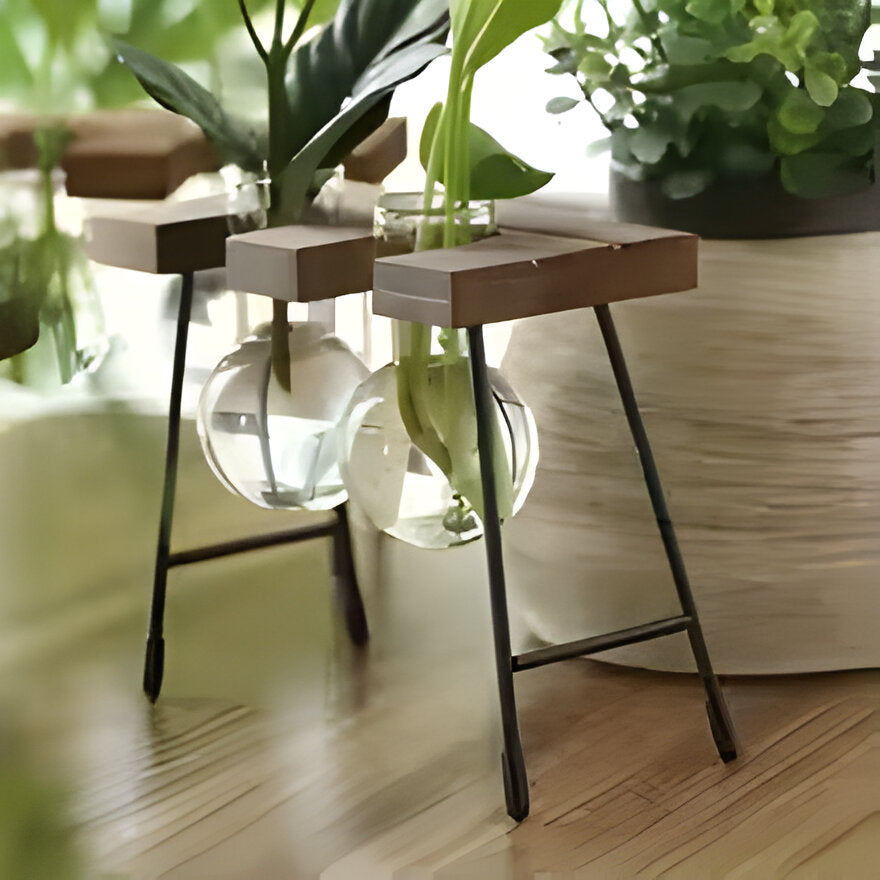 GlassRoot Vase - Hölzerner Rahmen Hydroponisches Pflanzgefäß mit Glaskugel