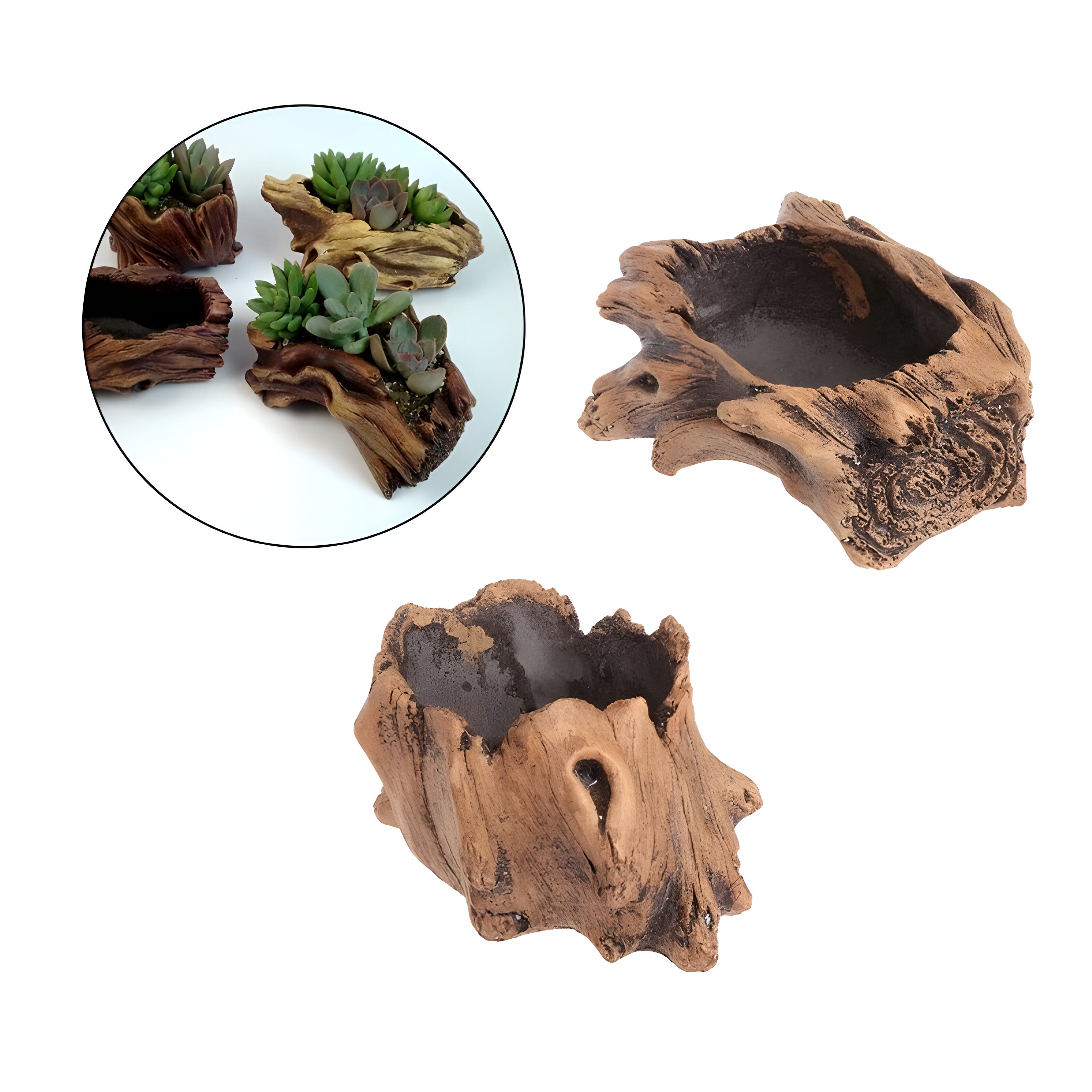BloomCrest Topf - Sukkulenten Bonsai Dekorationspflanzer
