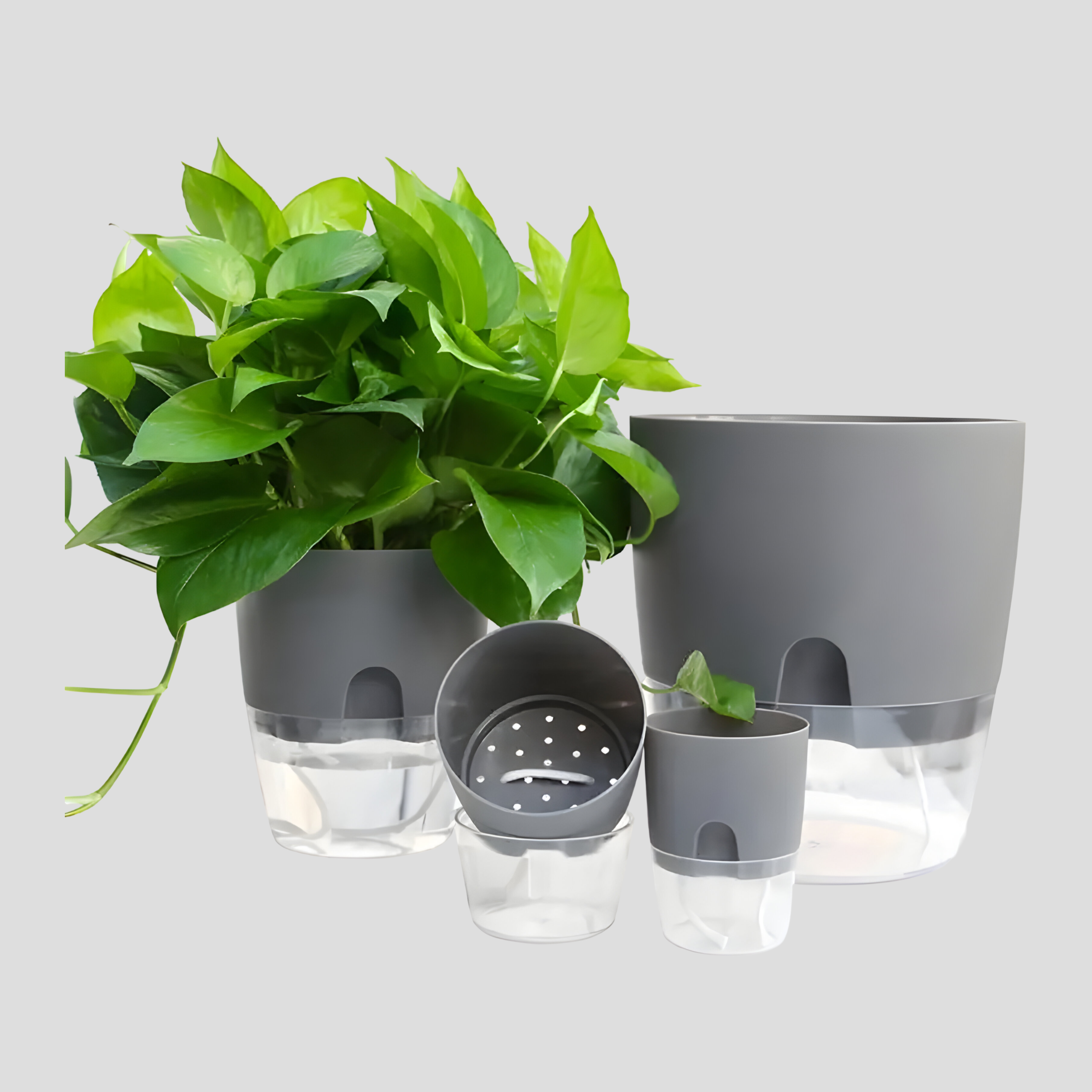 CrystalFlow Topf – Transparenter Selbstbewässernder Blumentopf