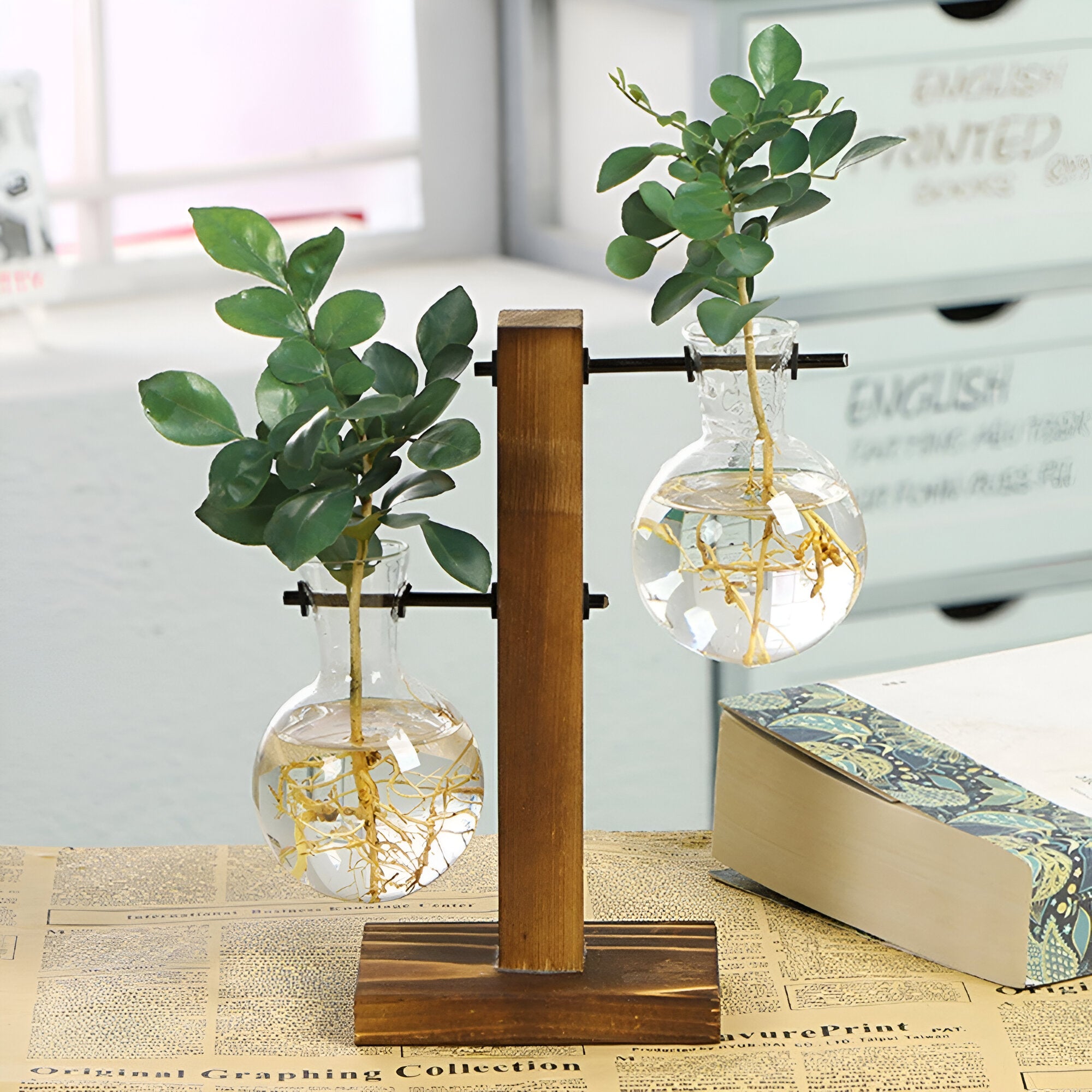 GlassHaven Vase – Hydroponisches Glasgefäß mit Holzständer