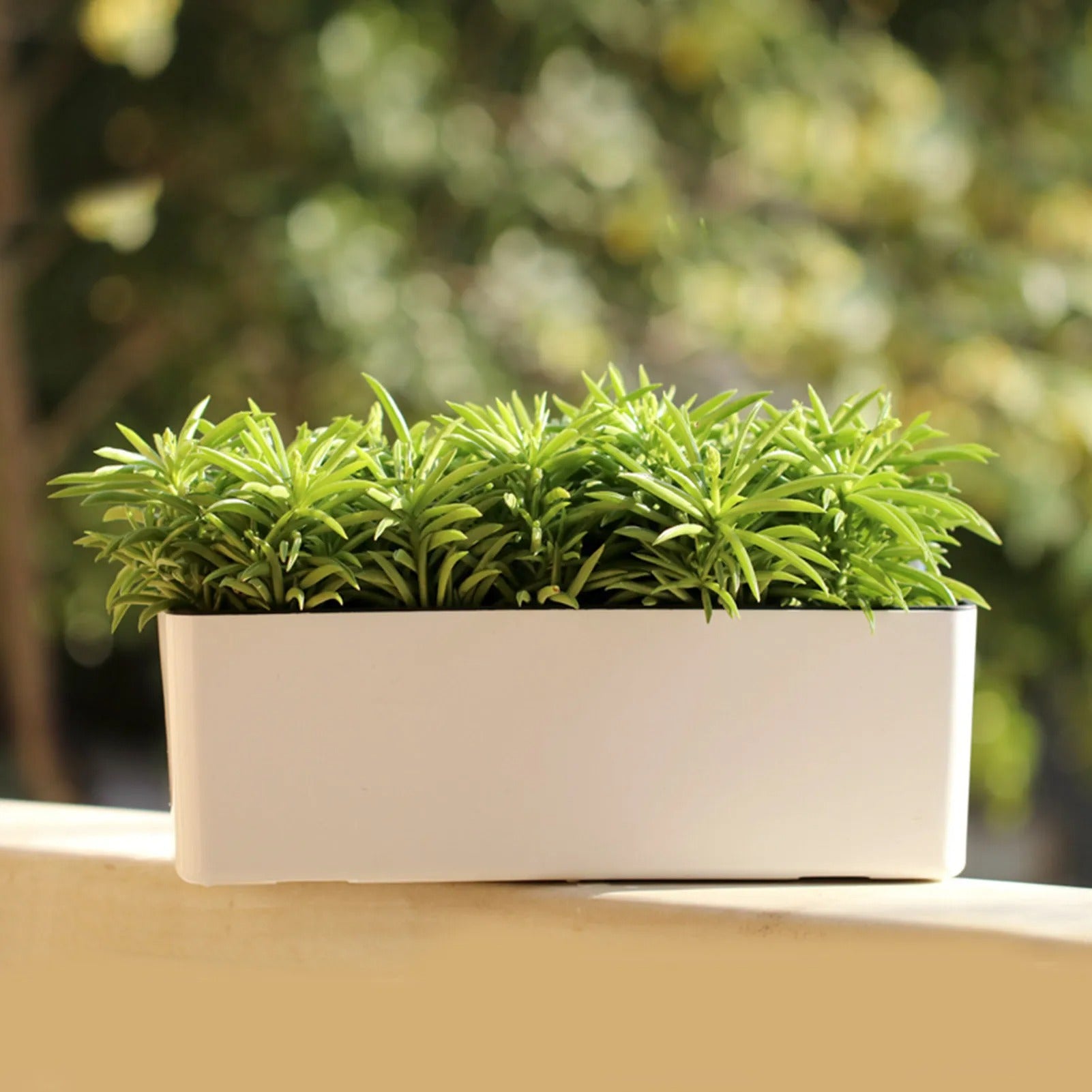PureVase Pot – Selbstbewässernder Blumentopf mit Wasserstandsanzeige