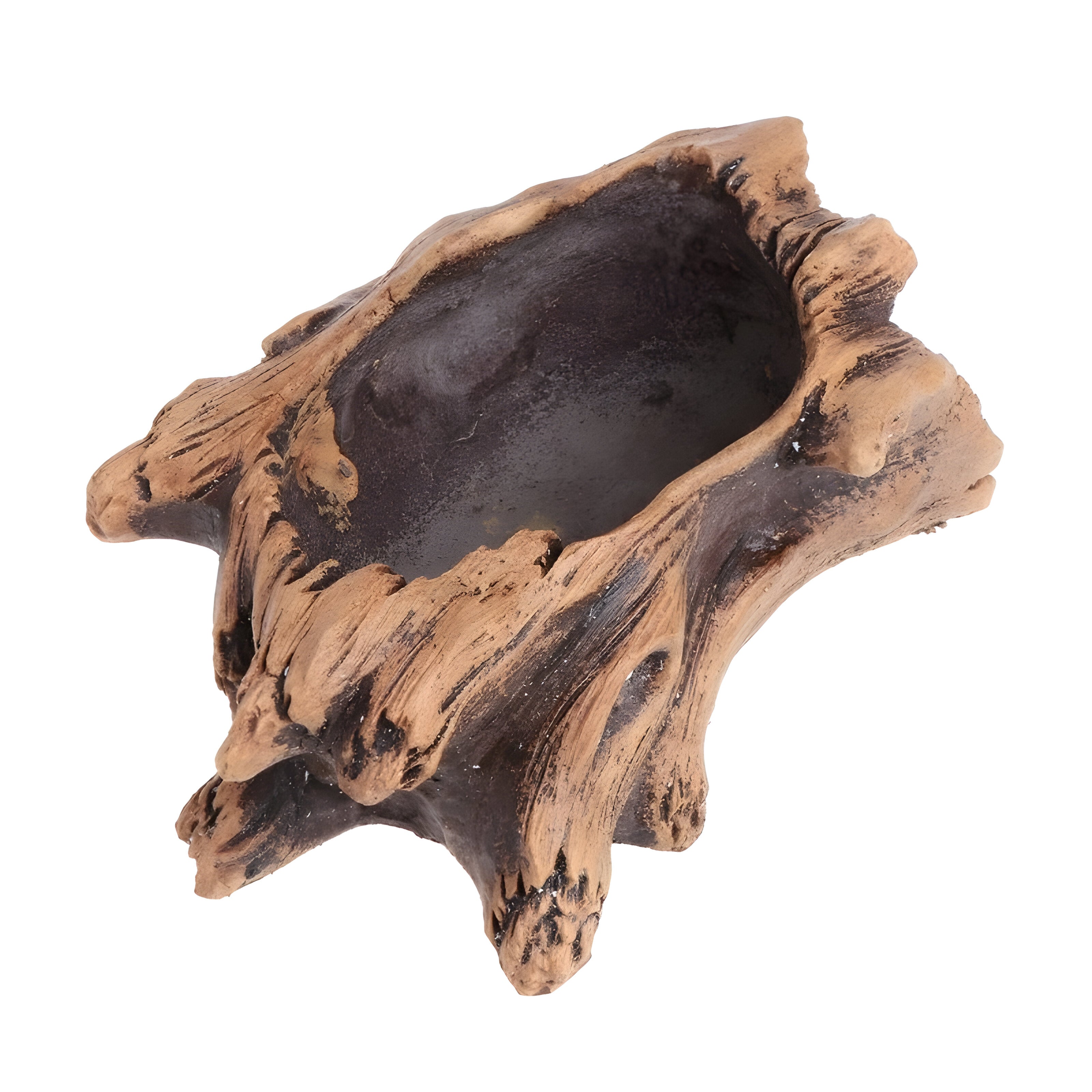 BloomCrest Topf - Sukkulenten Bonsai Dekorationspflanzer