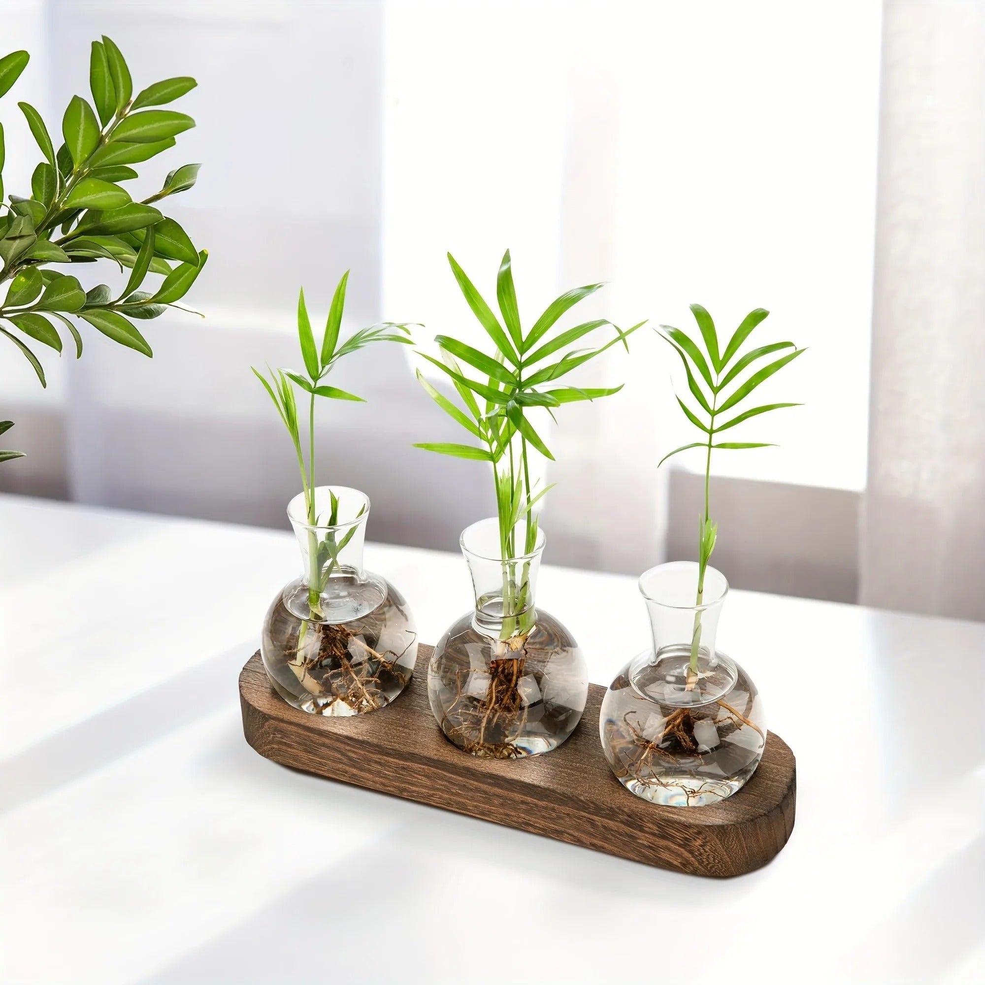 HydroHaven Vase - Elegante Hydroponische Glasvase