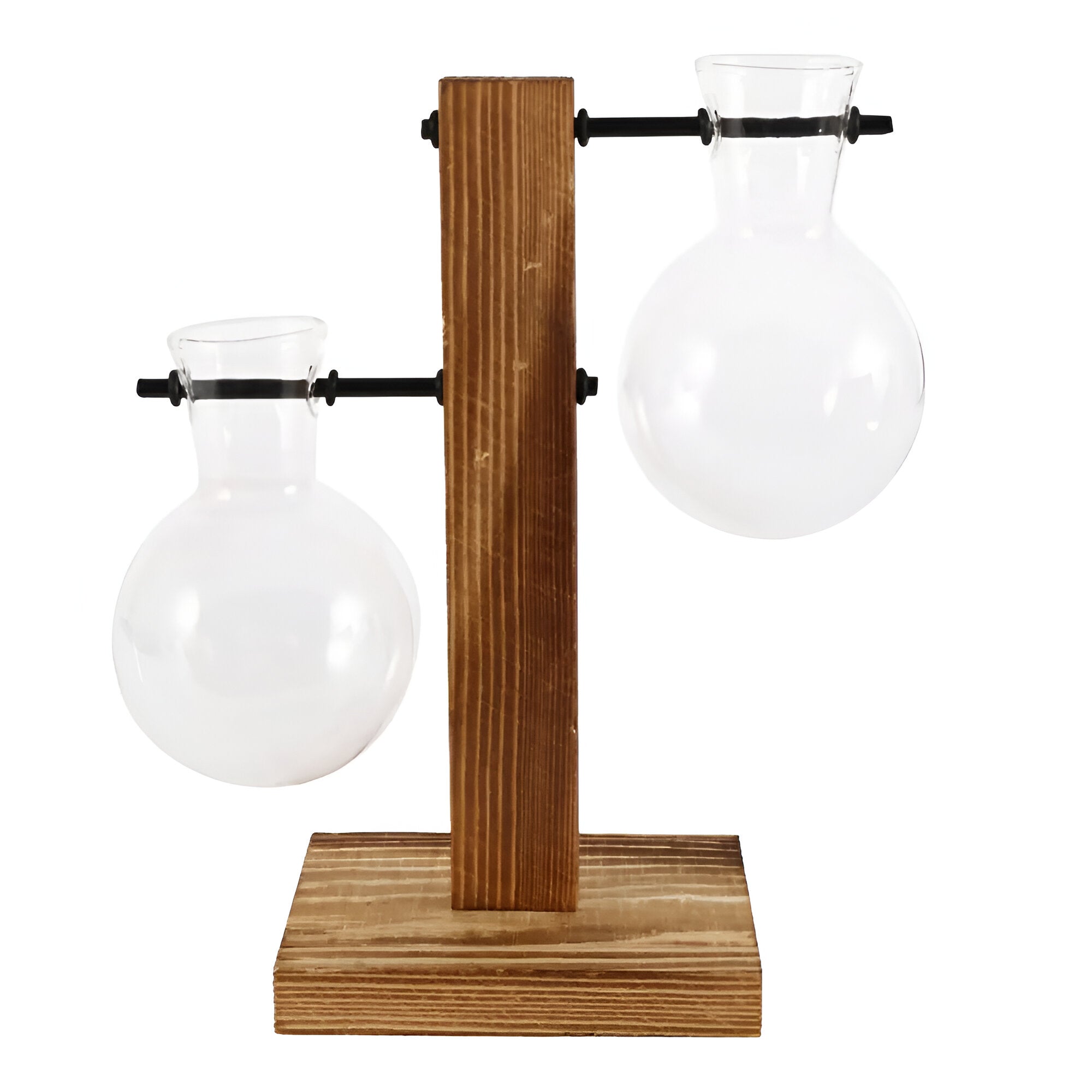 GlassHaven Vase – Hydroponisches Glasgefäß mit Holzständer