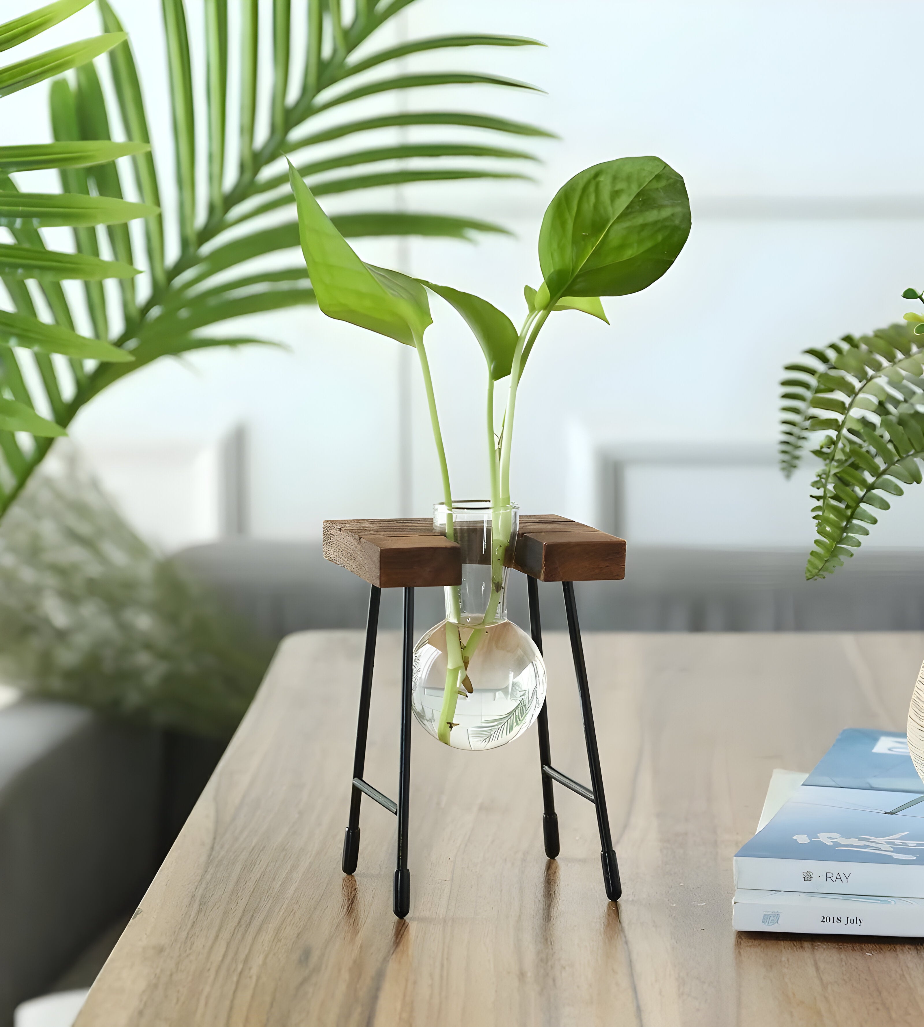 GlassRoot Vase - Hölzerner Rahmen Hydroponisches Pflanzgefäß mit Glaskugel