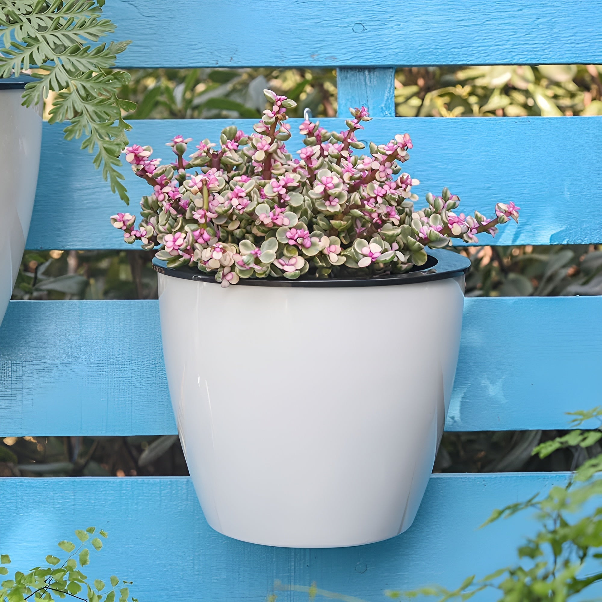 Selbstbewässernder Blumentopf – Elegant für den Innen- und Außenbereich - Blumentopf