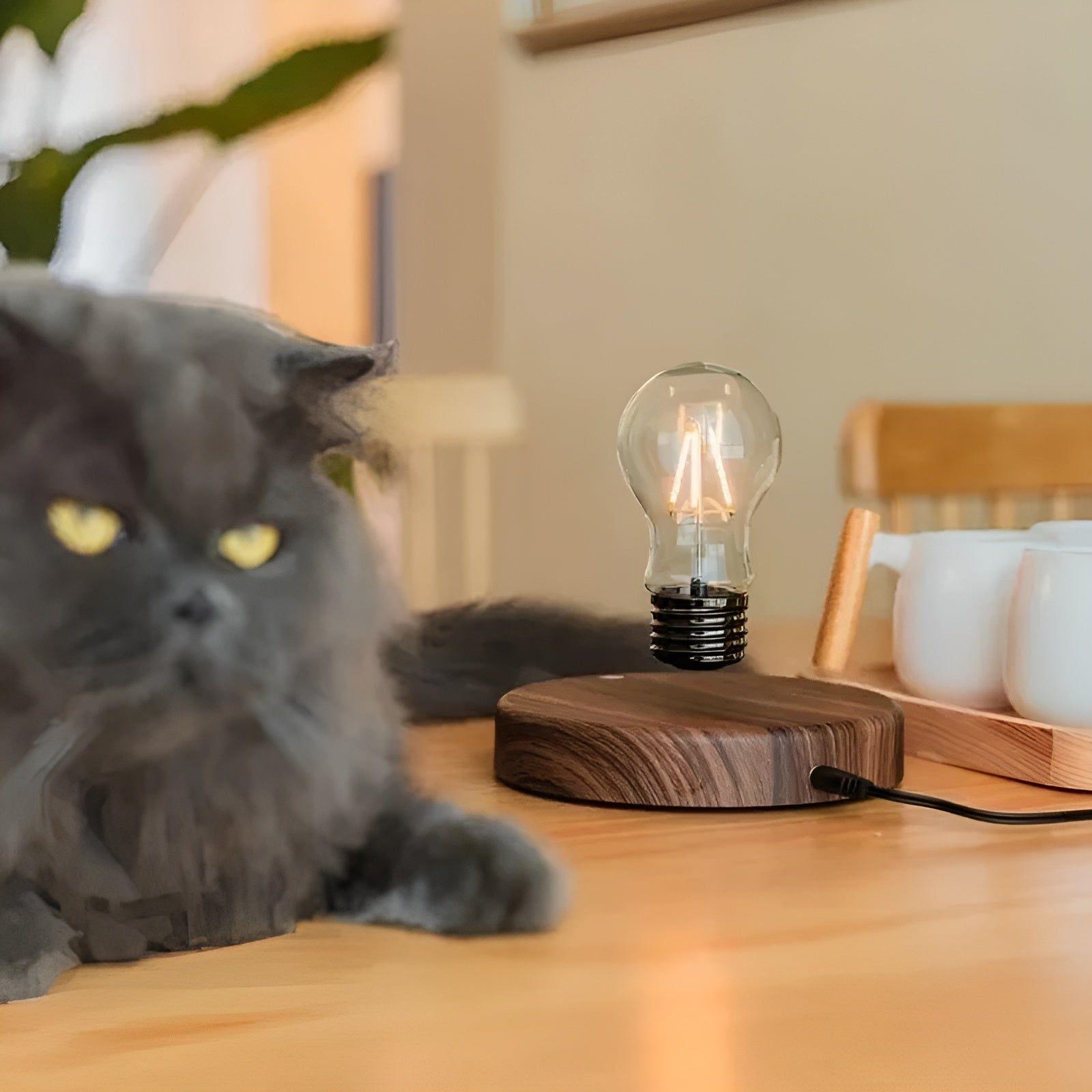 Magic Bulb - Elegant Magnetisch Levitation Schwebende Glühbirne - Elegare