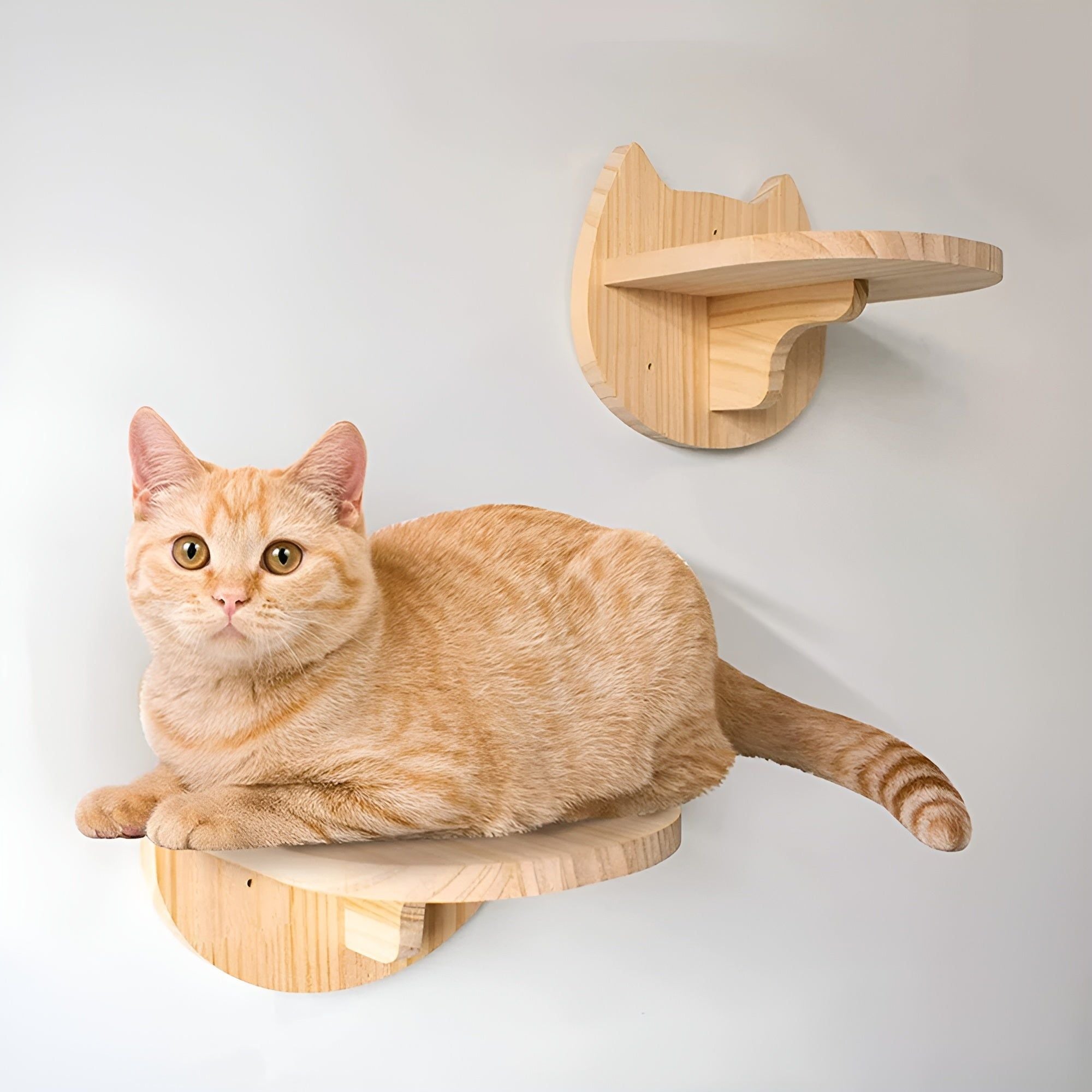 PurrMount Board - Wandmontiertes Katzen-Kletterbrett mit Kratzbaum - Elegare