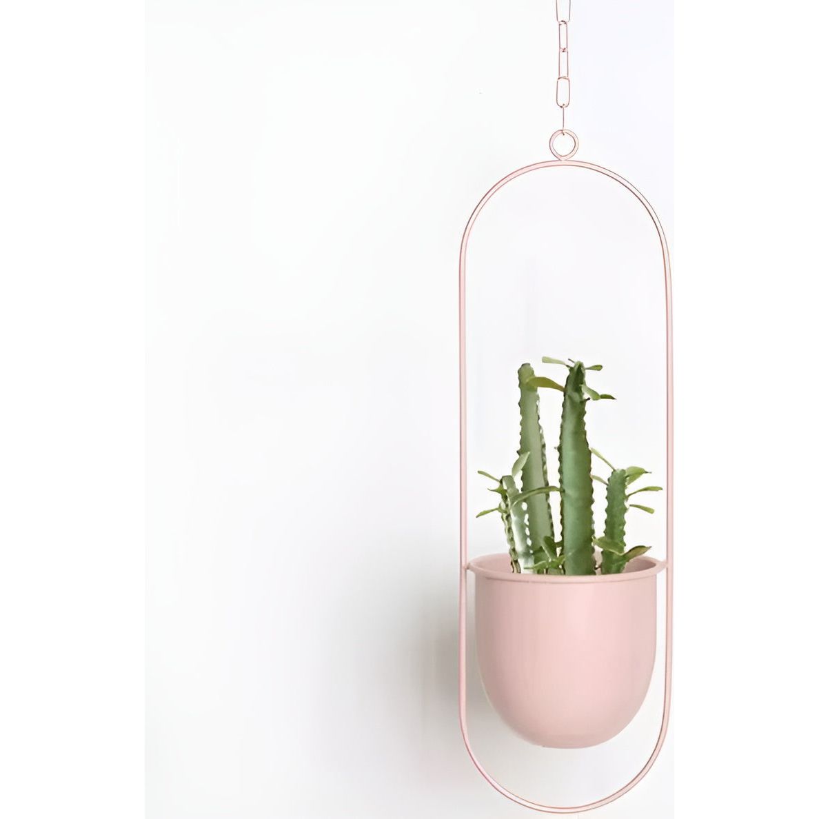 BloomVine Plant Hanger - Eleganter Metall Hängeblumentopfhalter Elegare