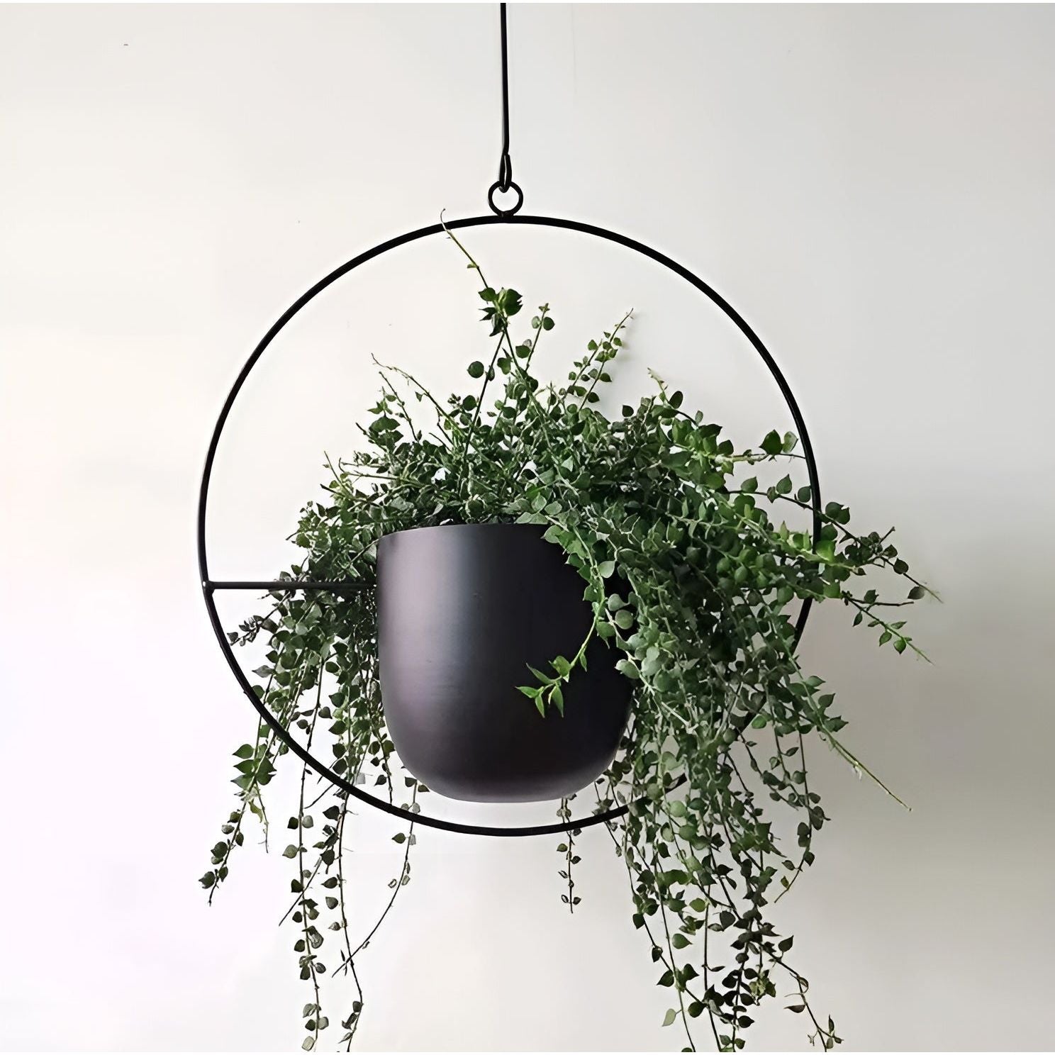 BloomVine Plant Hanger - Eleganter Metall Hängeblumentopfhalter Elegare