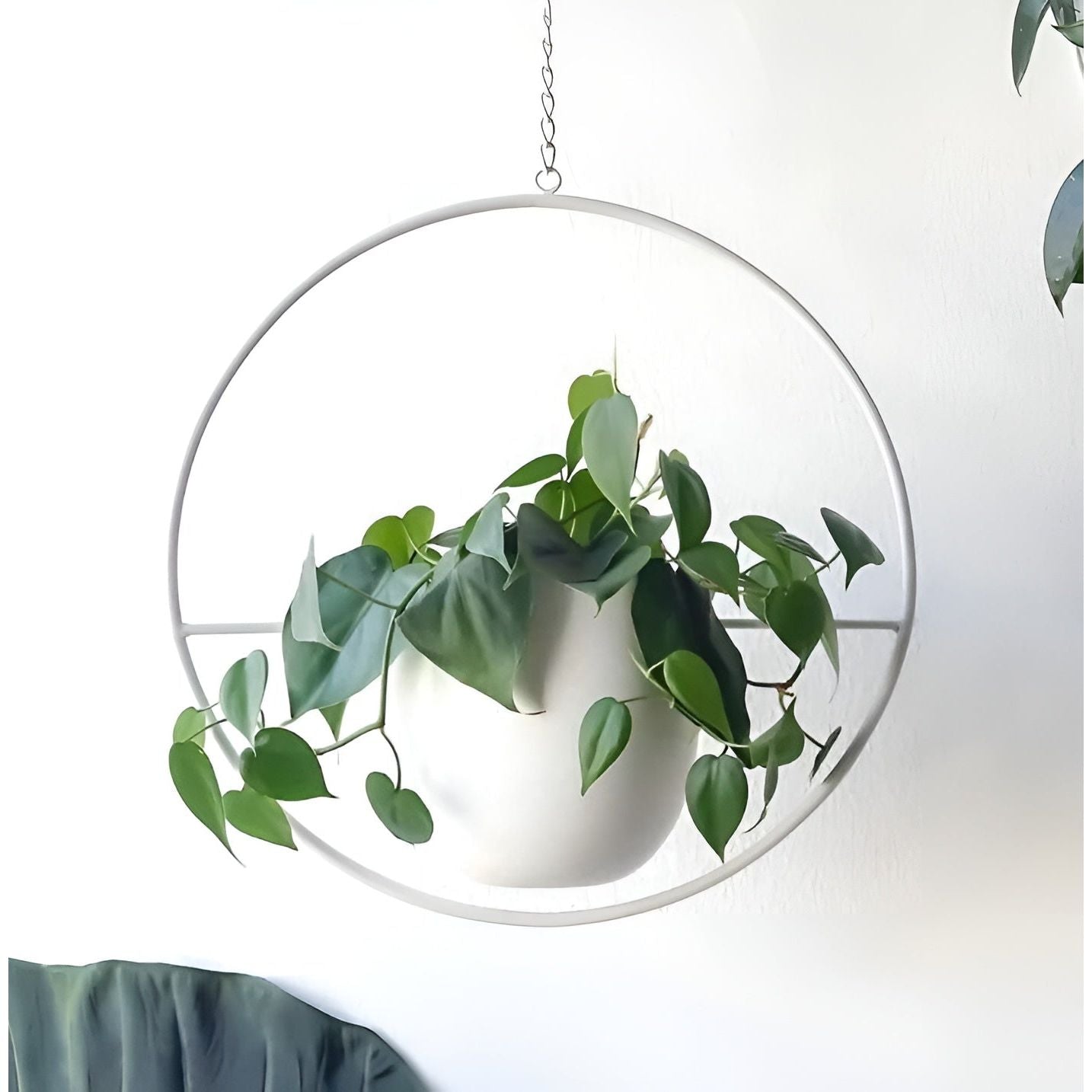 BloomVine Plant Hanger - Eleganter Metall Hängeblumentopfhalter Elegare