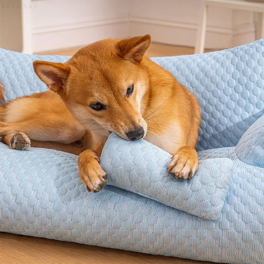 FurryNest Bed - Bequemes und Waschbares Warmes Plüsch-Tierbett Elegare