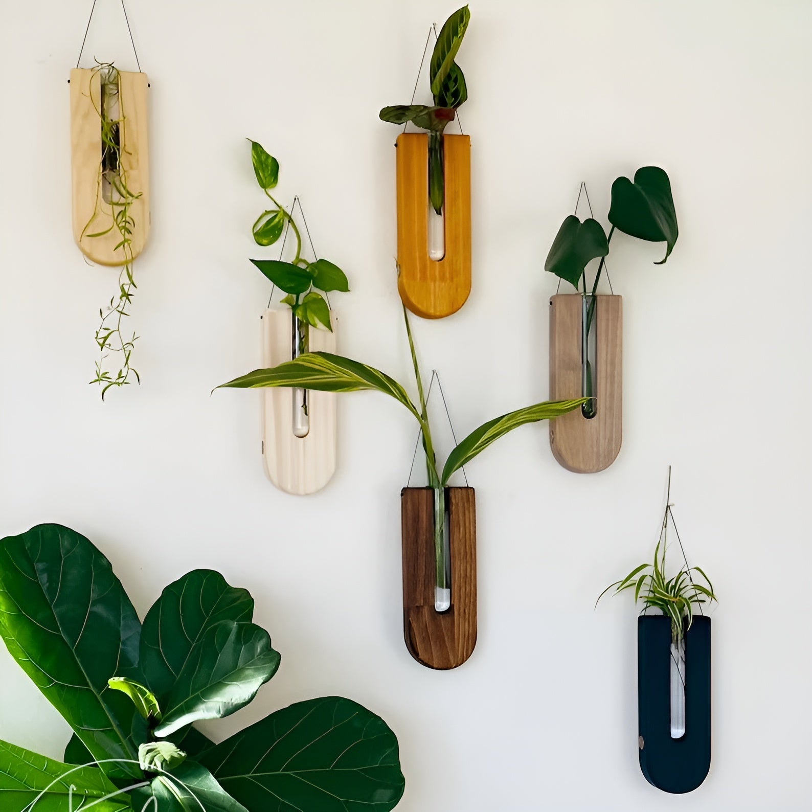 Holz-Wandvasen im Rustikalen Design – Kreative Blumendeko | Perfekt für Blumen und Moderne Wandgestaltung - Vase