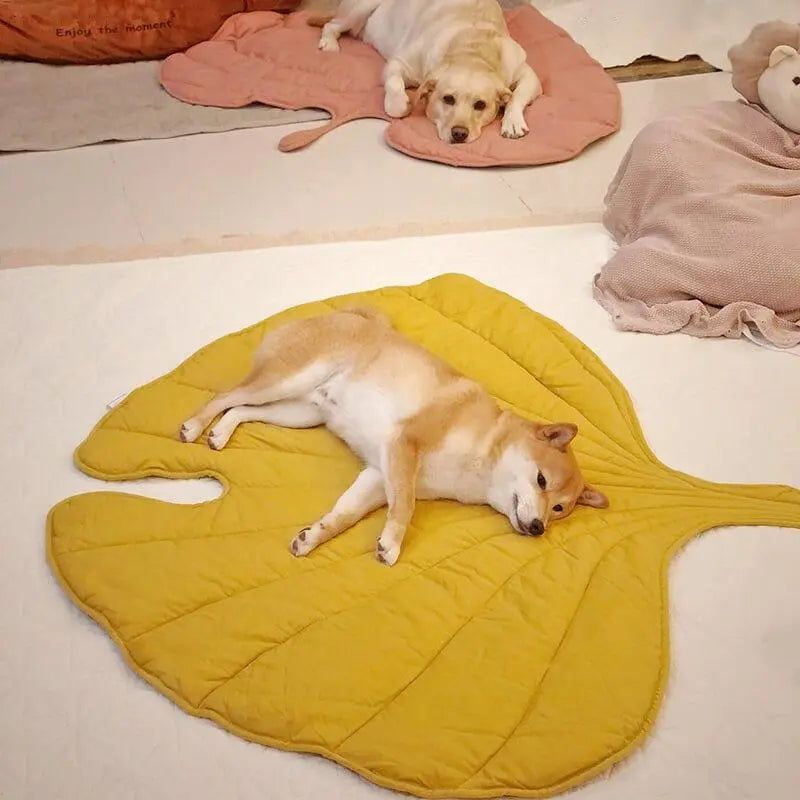 Leaf - Hundedecke in Blattform - Elegare - Dog Beds -   