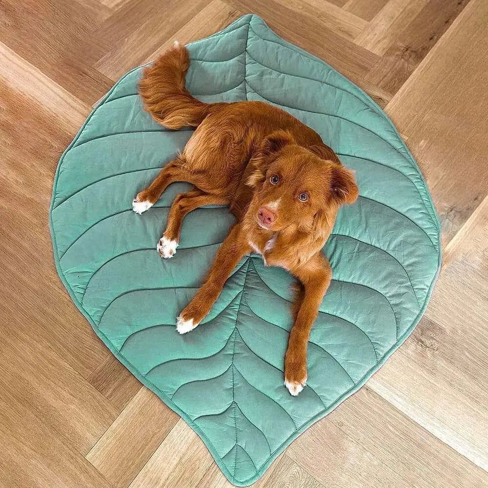 Leaf - Hundedecke in Blattform - Elegare - Dog Beds -  Ulme-Grün 