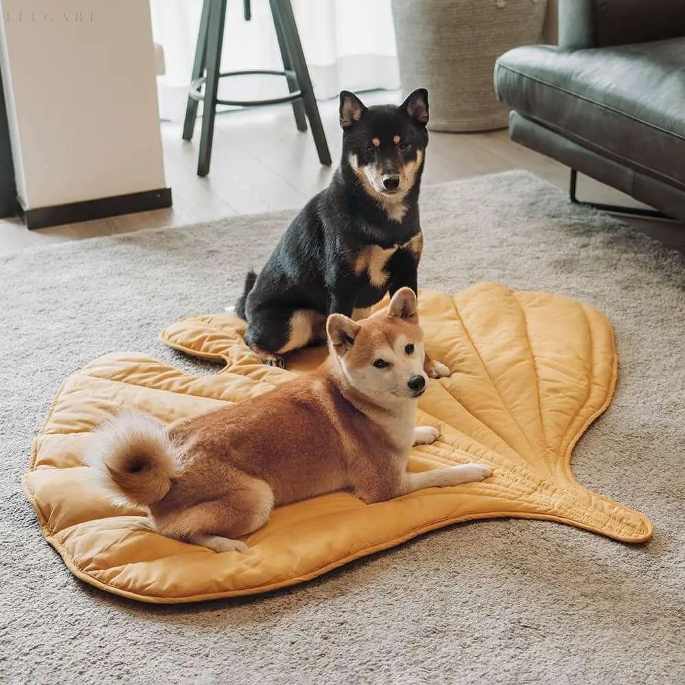 Leaf - Hundedecke in Blattform - Elegare - Dog Beds -   