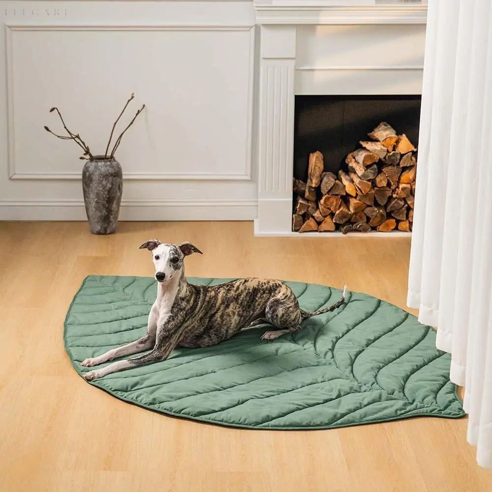 Leaf - Hundedecke in Blattform - Elegare - Dog Beds -  Ulme-Grün-Super-Size 