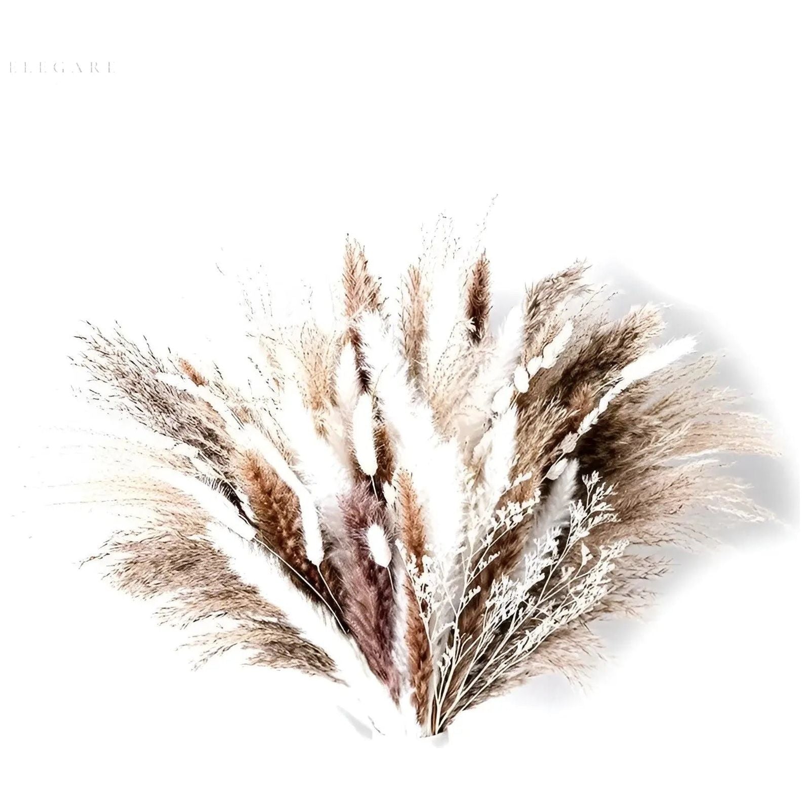 RusticPampas Decor - Natürliches flauschiges Pampasgras Boho Home Floral Arrangement Elegare