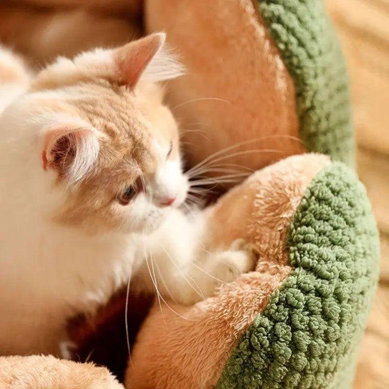 Cactus Thron Pet Bed - Stimuliert den Schlafkomfort - Haustierbedarf